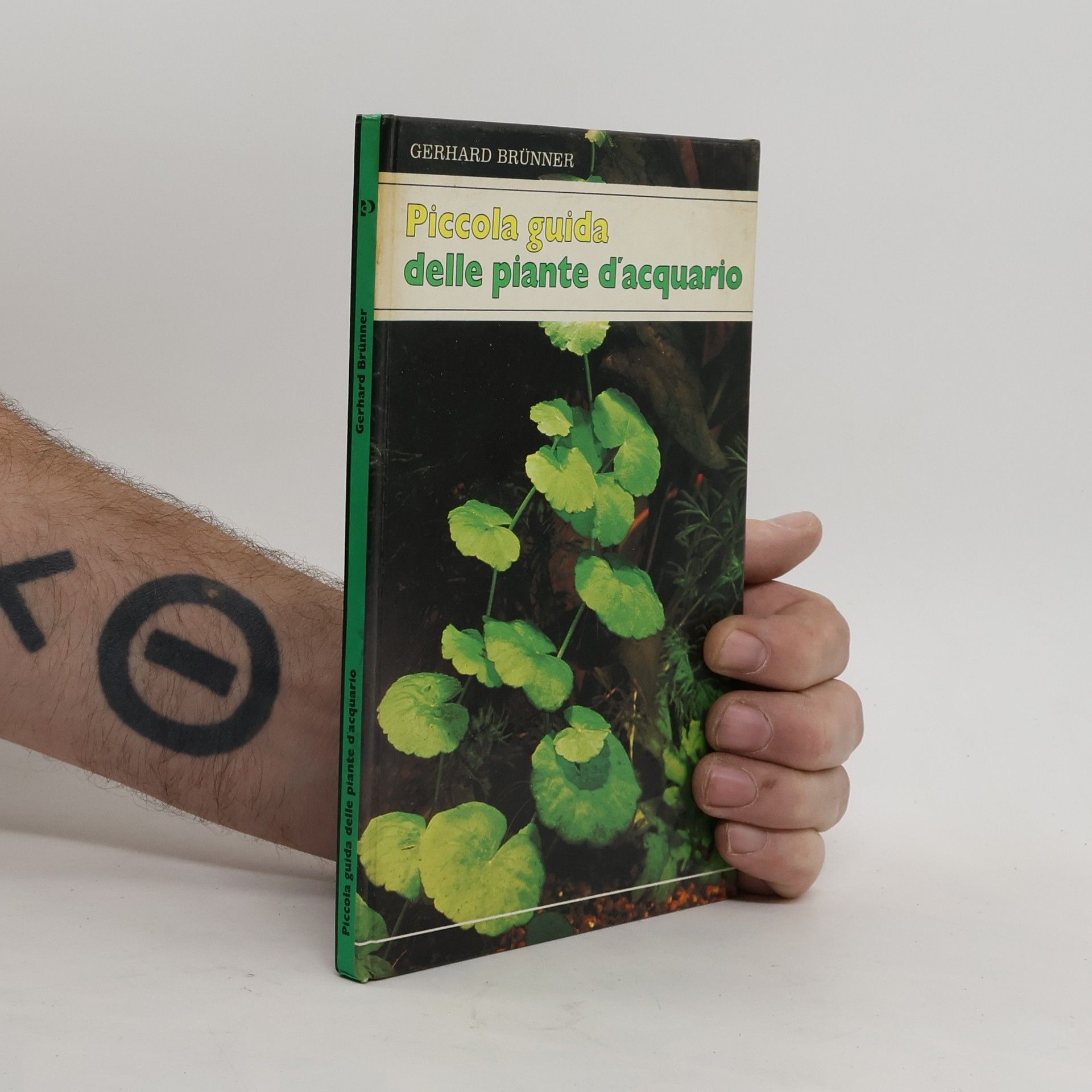 Piccola guida delle piante d'acquario