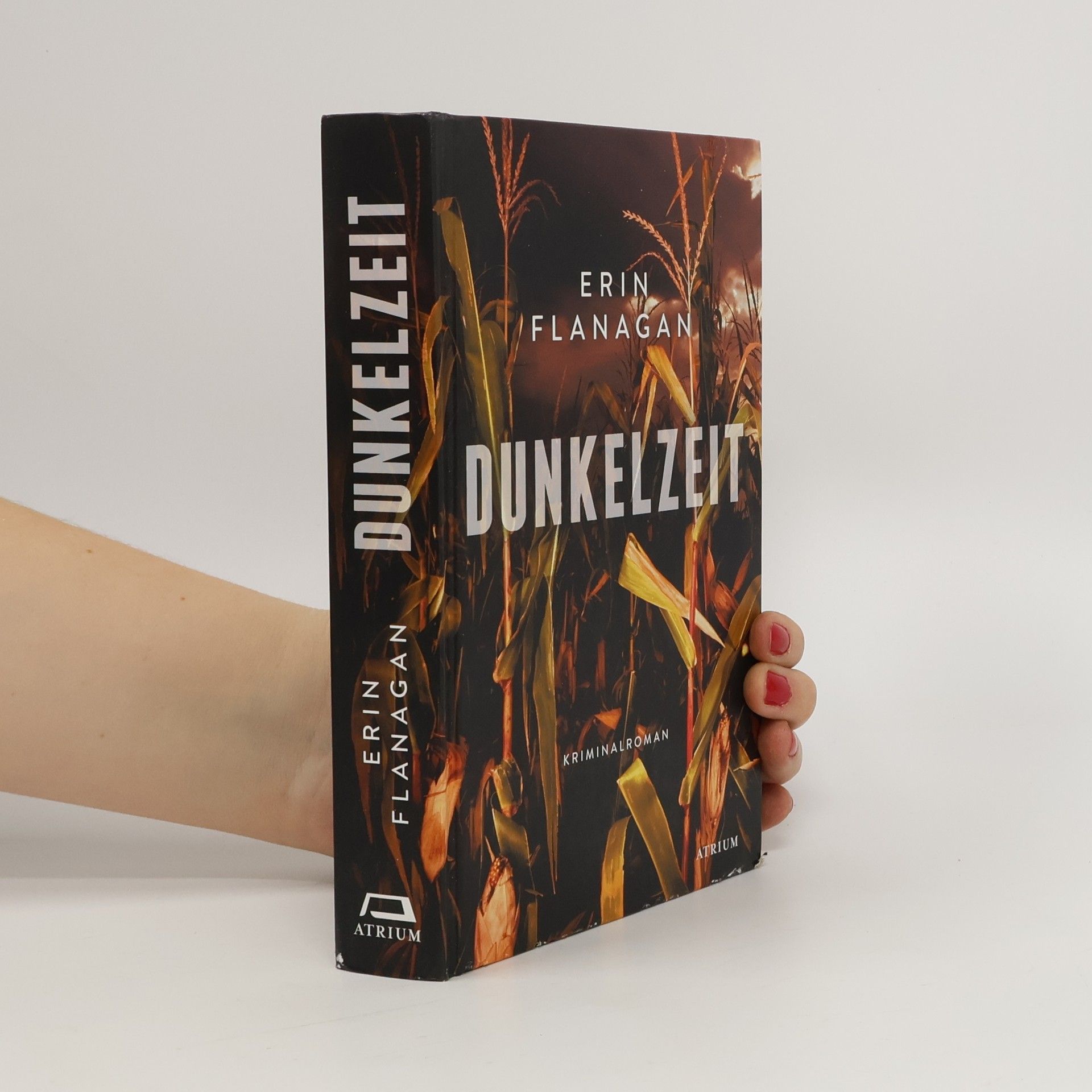 Erin Flanagan Dunkelzeit