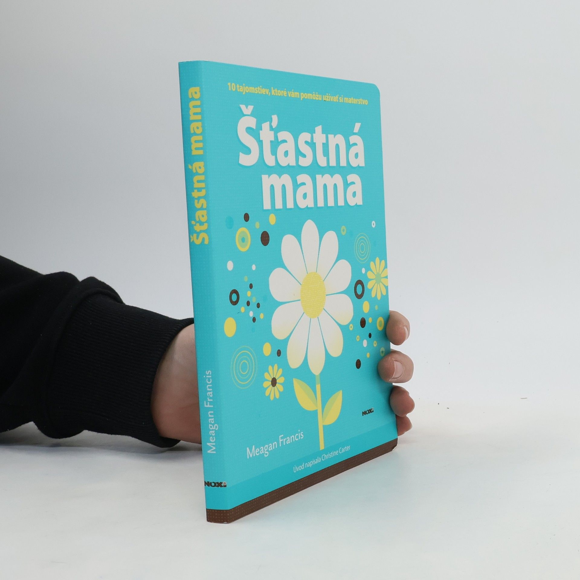 Meagan Francis Šťastná máma