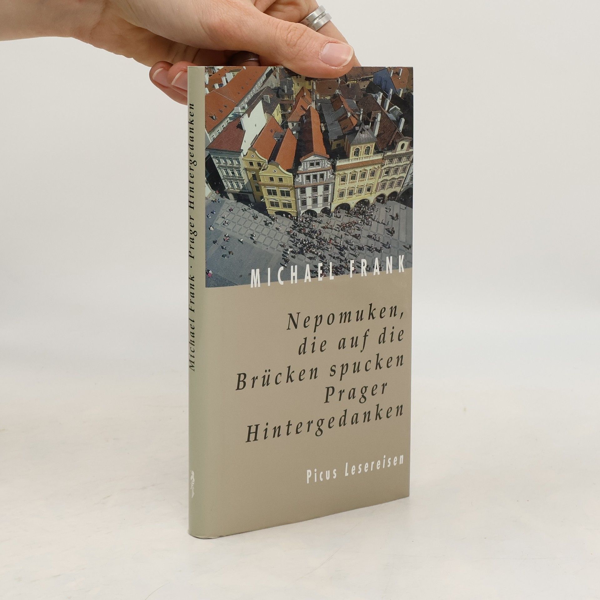 Frank-Michael Wiegand Nepomuken, die auf die Brücken spucken