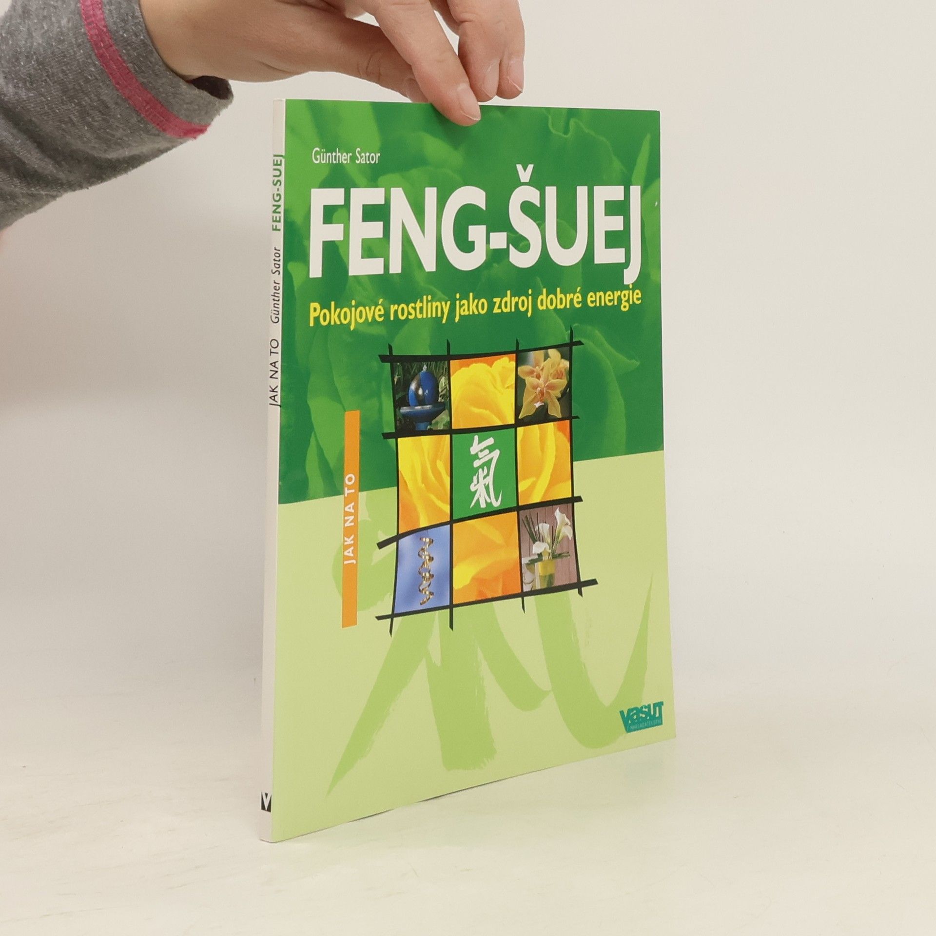 Günther Sator Feng-šuej : pokojové rostliny jako zdroj dobré energie