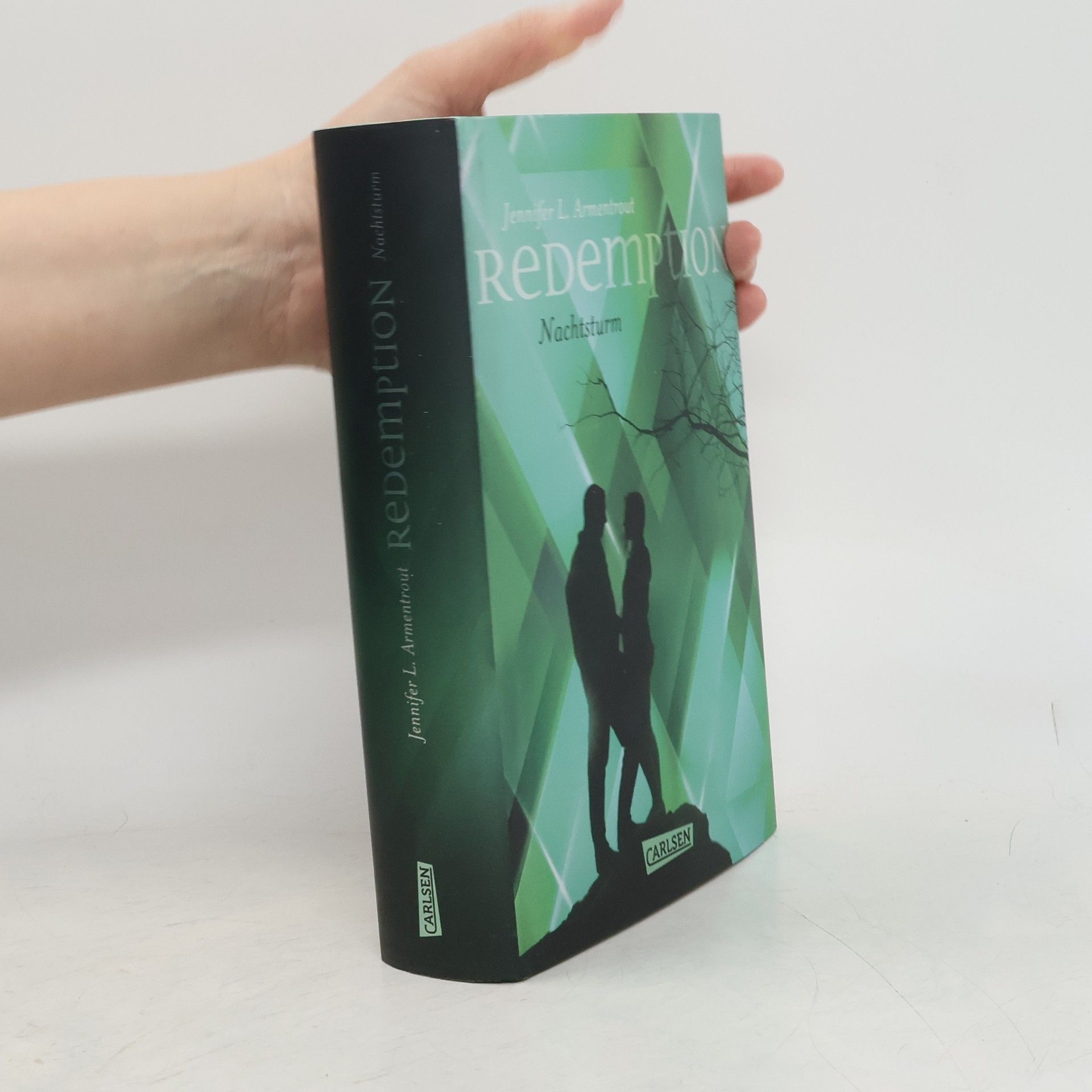 Jennifer Armentrout Redemption. Nachtsturm