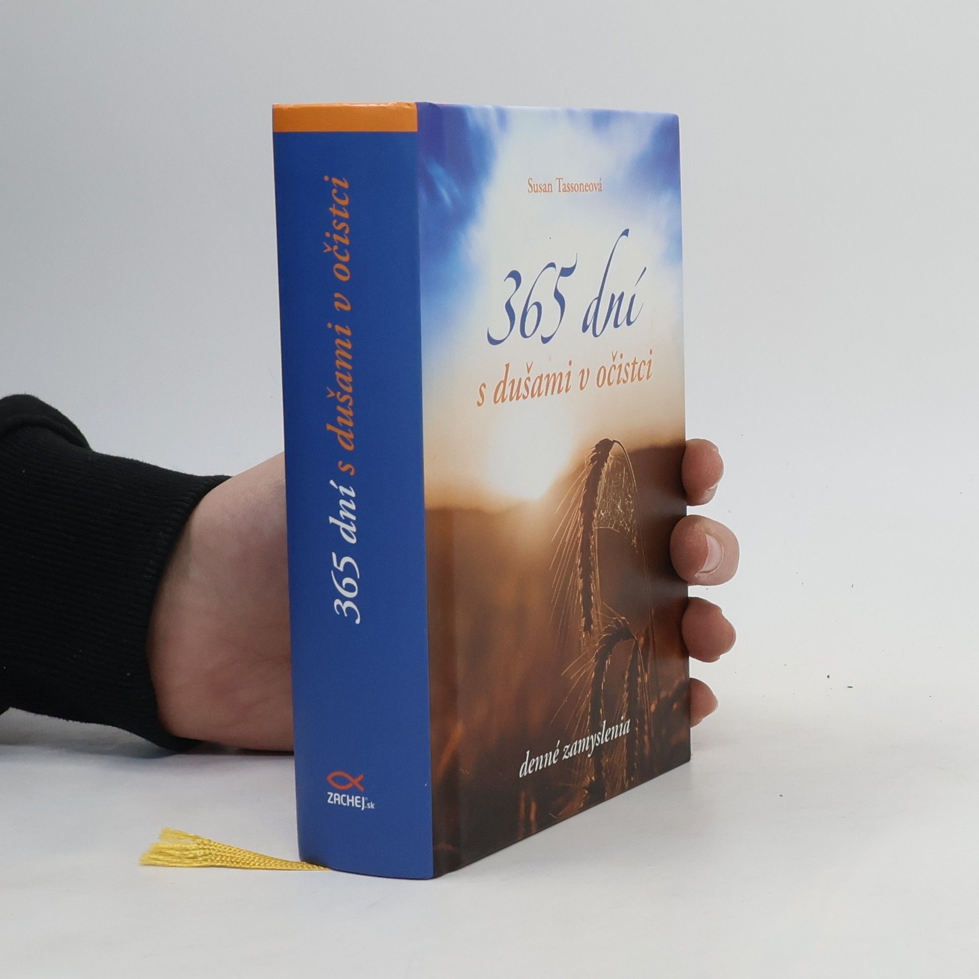 Susan Tassone 365 dní s dušami v očistci