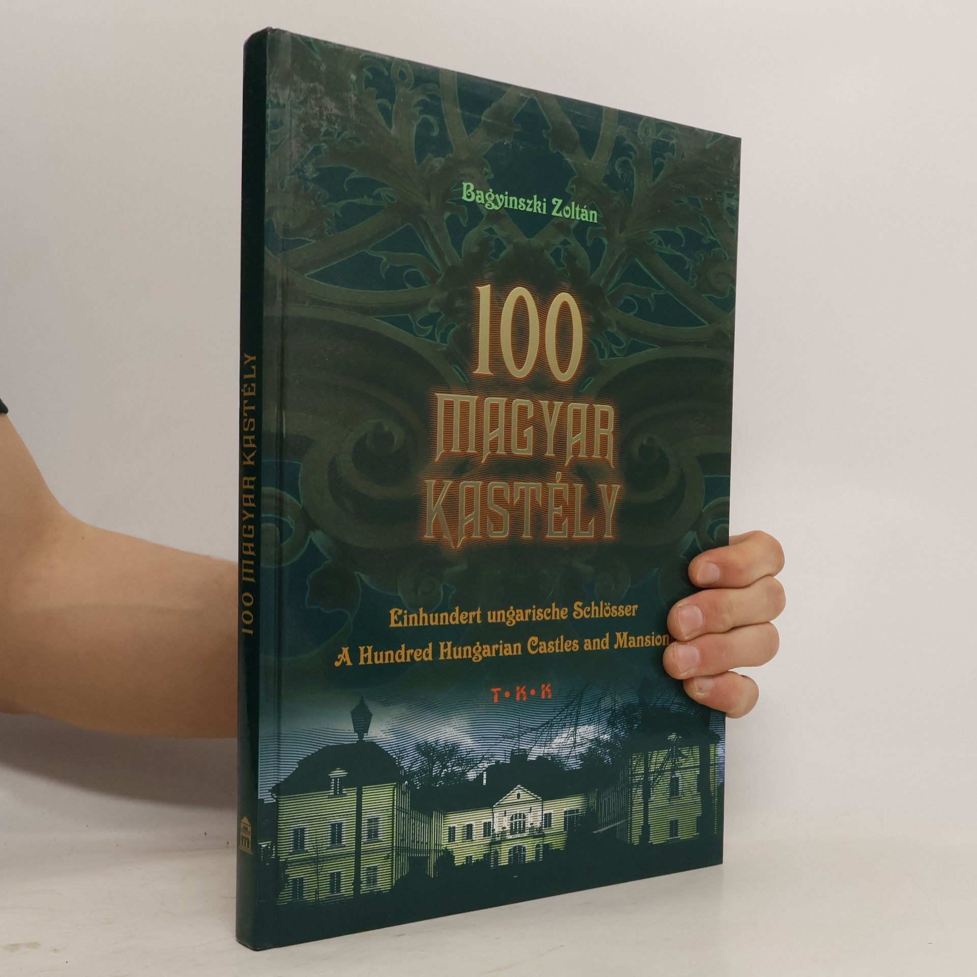 Zoltán Bagyinszki 100 magyar kastély