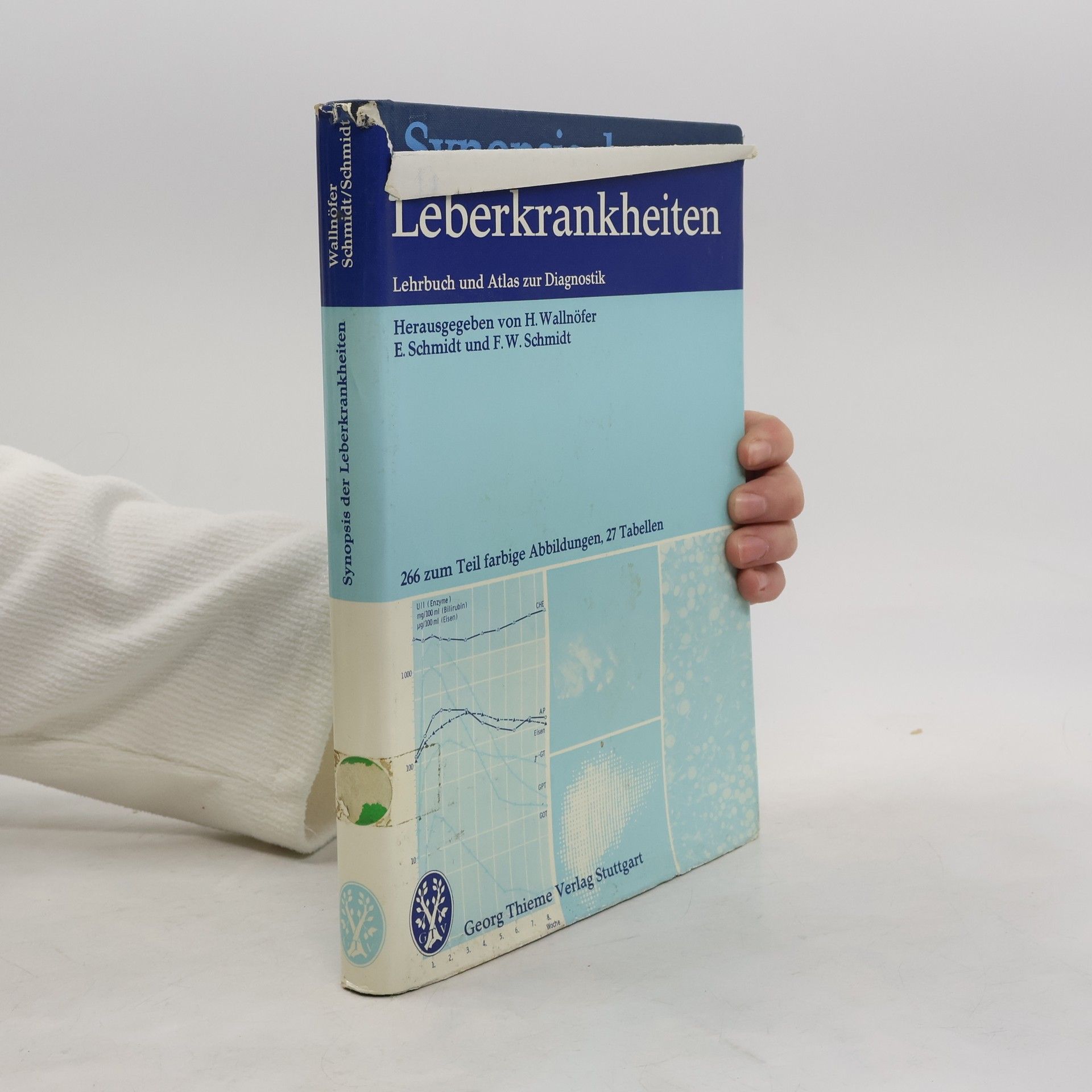 Synopsis der Leberkrankheiten