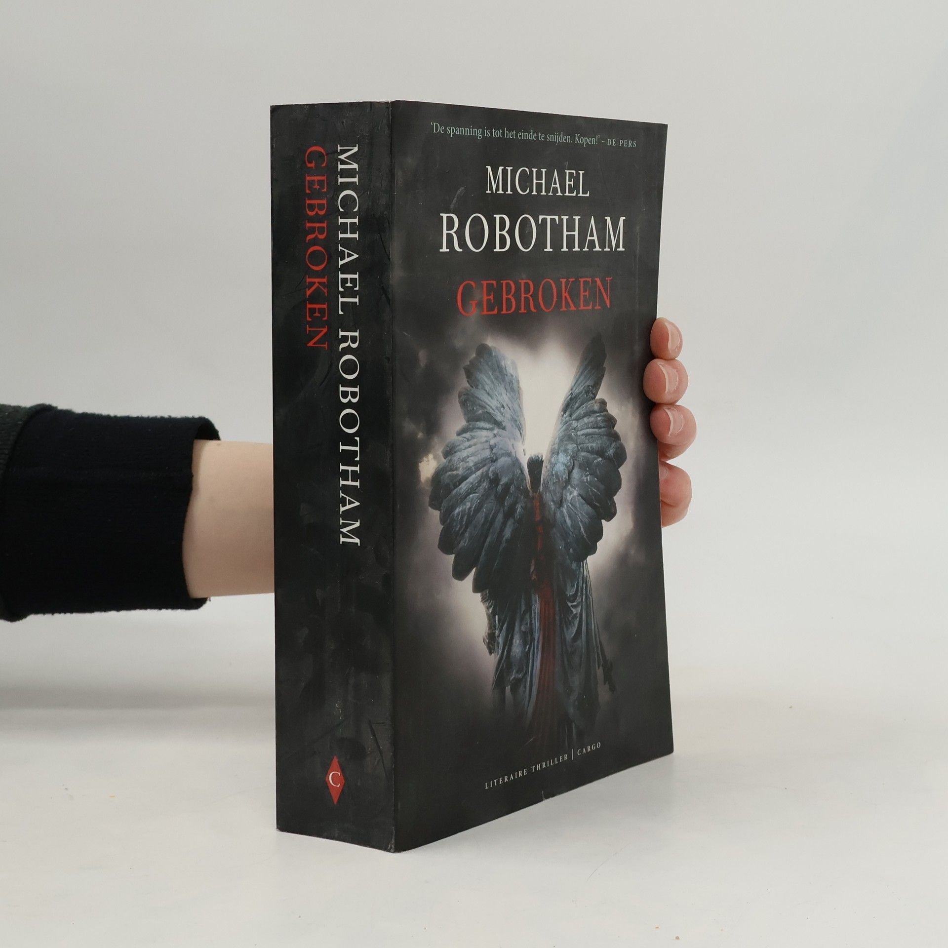 Michael Robotham Gebroken