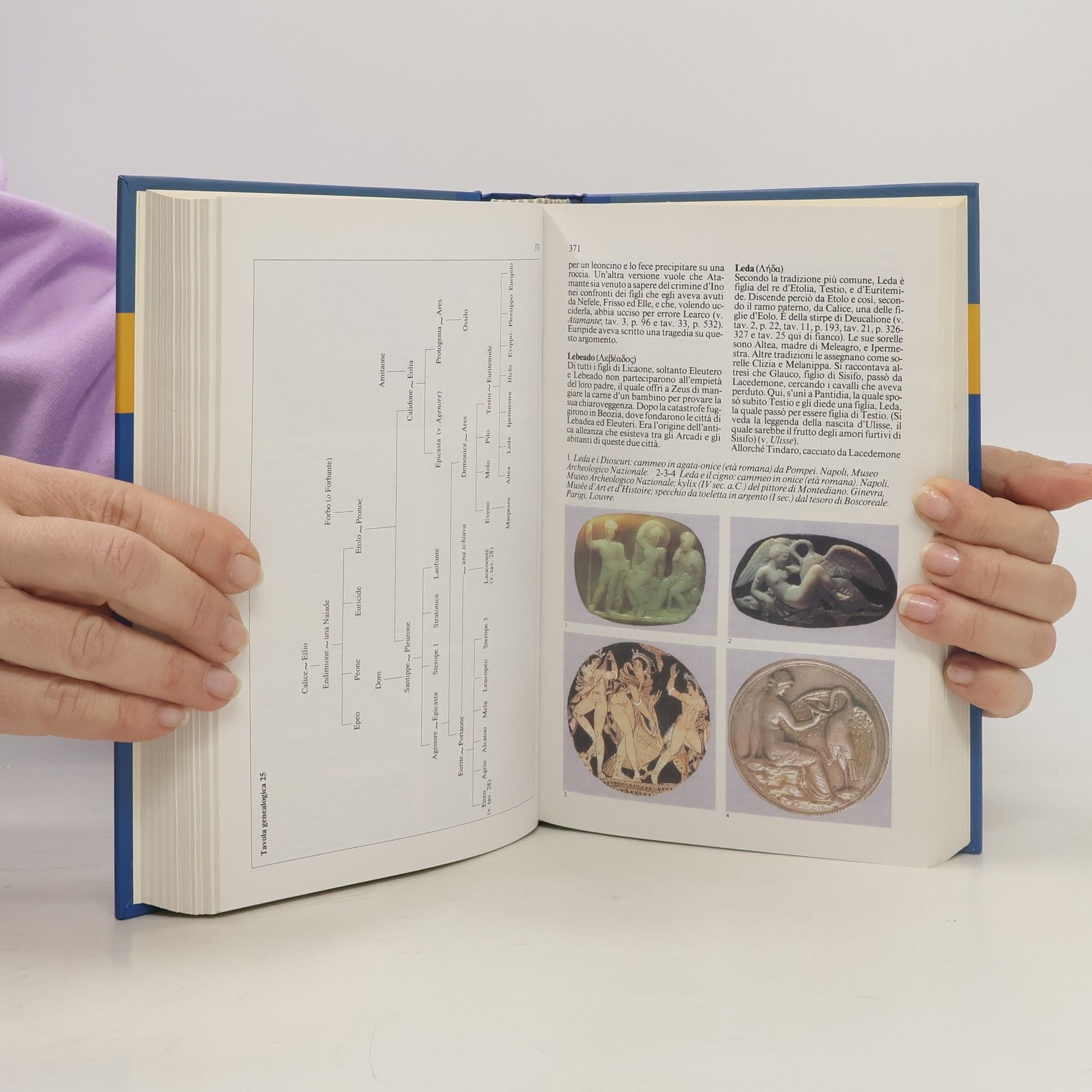Autorenkollektiv L'universale 29.