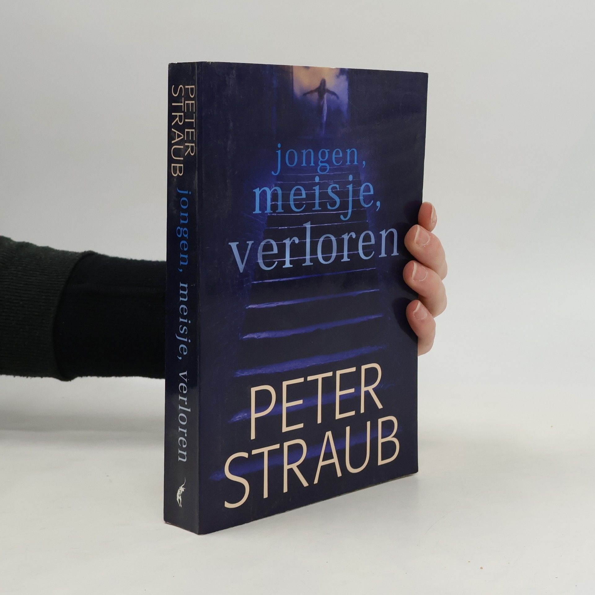 Peter Straub Jongen, meisje, verloren
