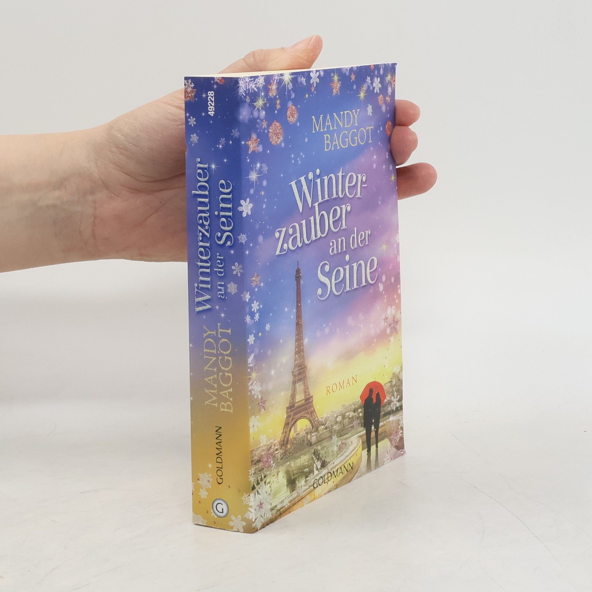 Mandy Baggot Winterzauber an der Seine