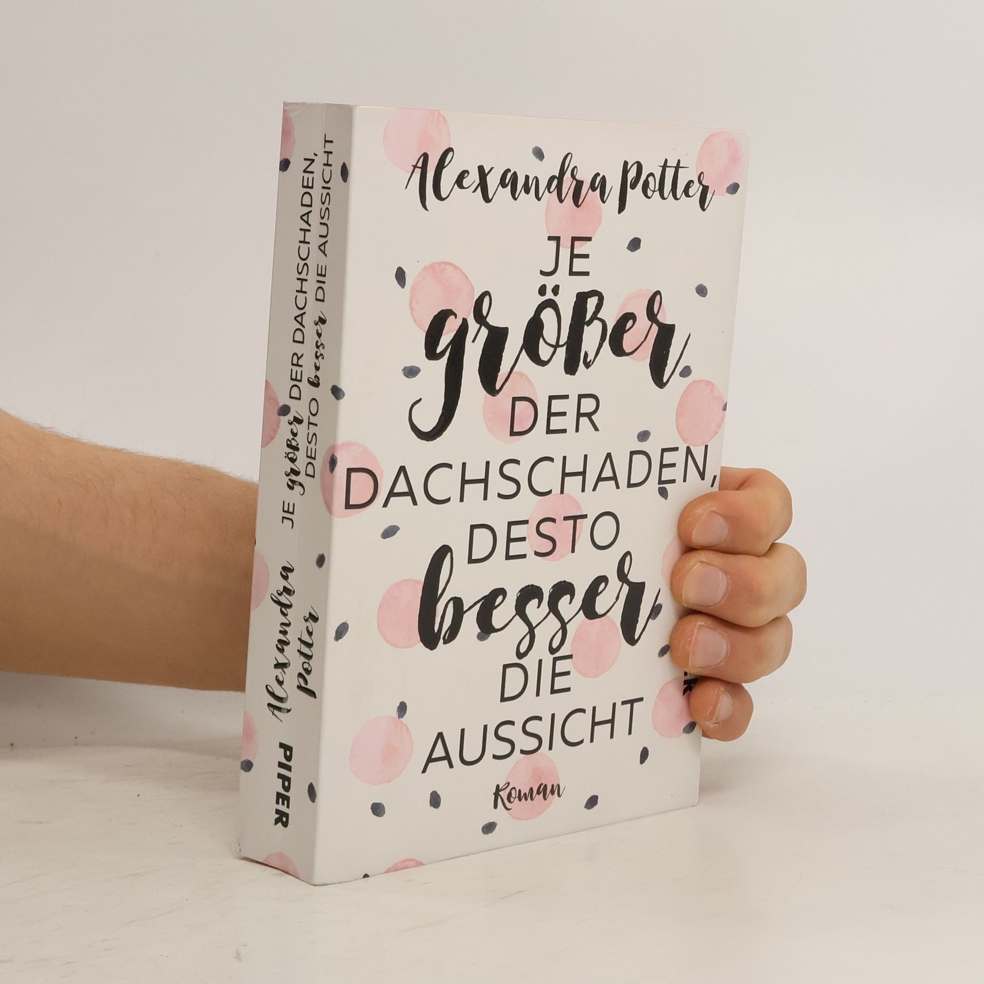 Alexandra Potter Je größer der Dachschaden, desto besser die Aussicht