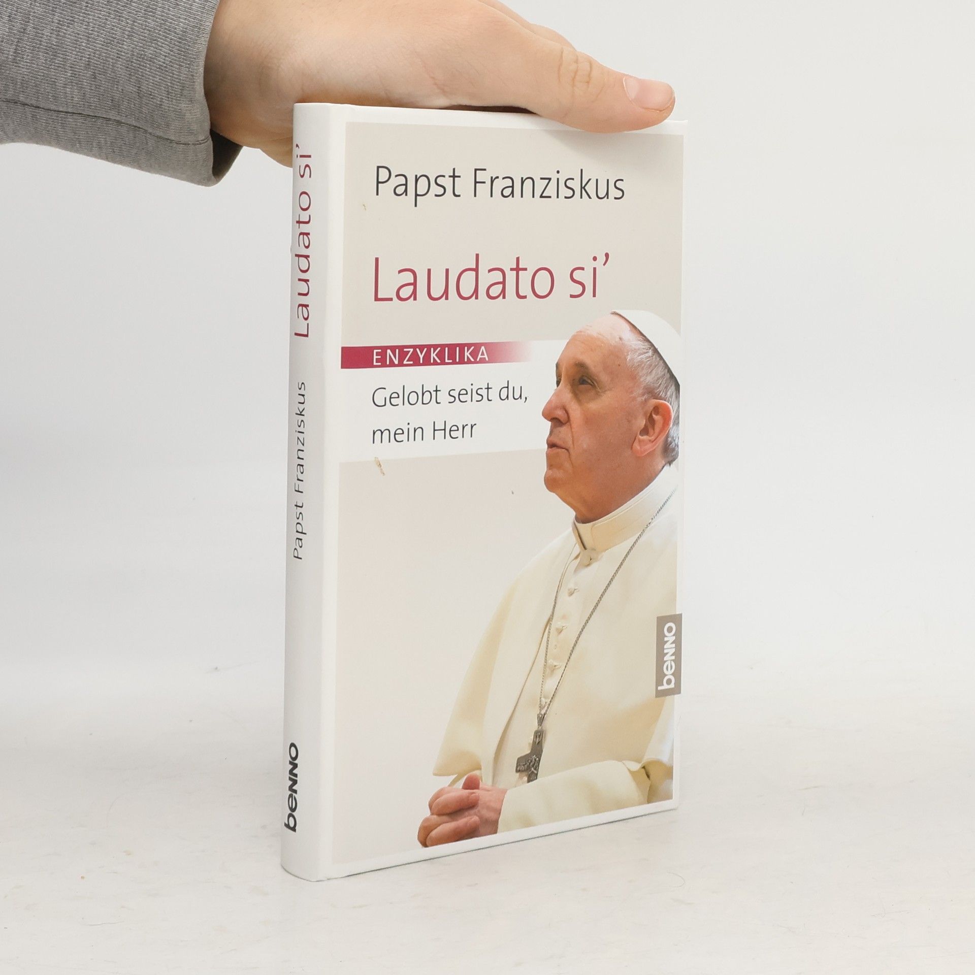 Papež František Laudato si' : Gelobt seist du, mein Herr