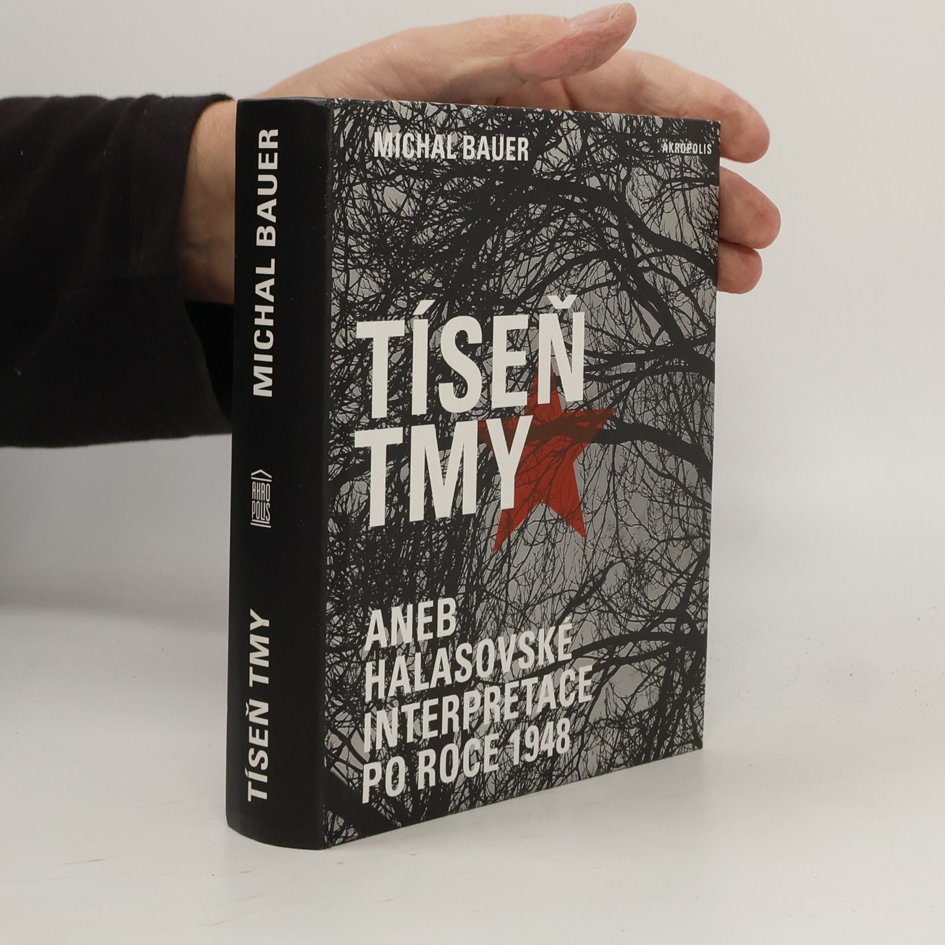 Michal Bauer Tíseň tmy aneb halasovské interpretace po roce 1948