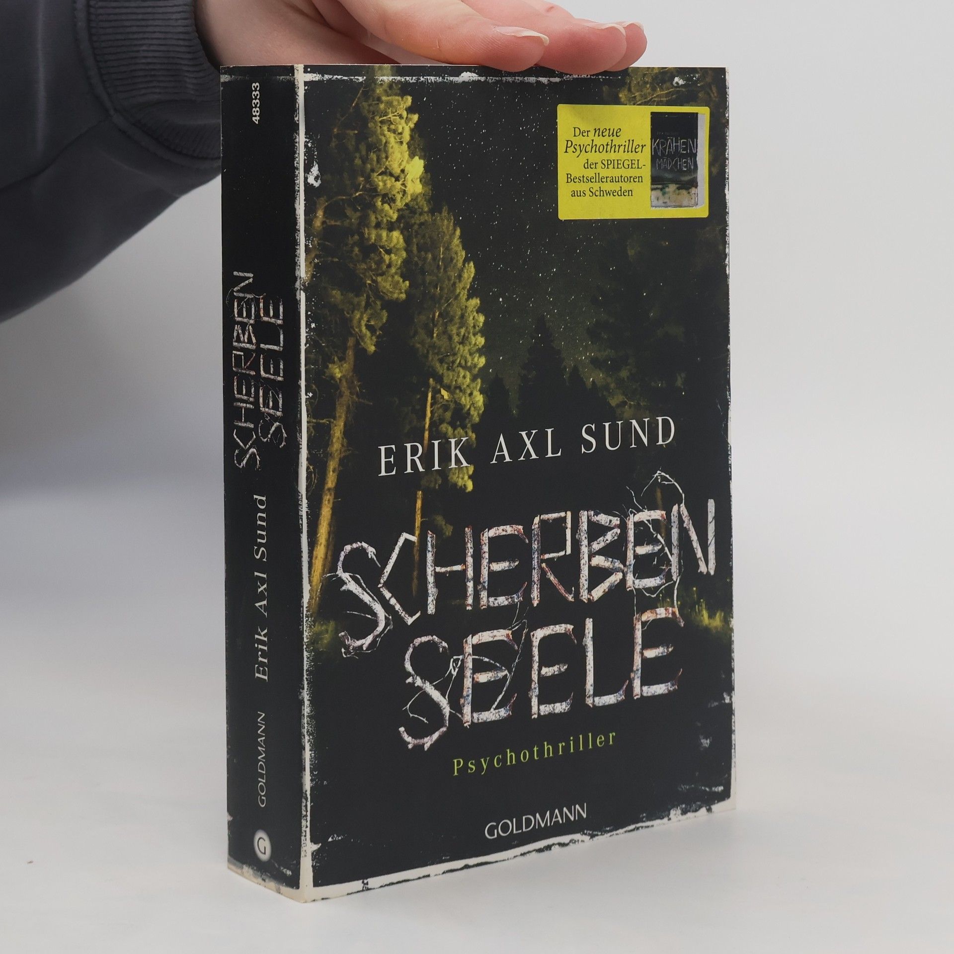 Erik Axl Sund Scherbenseele
