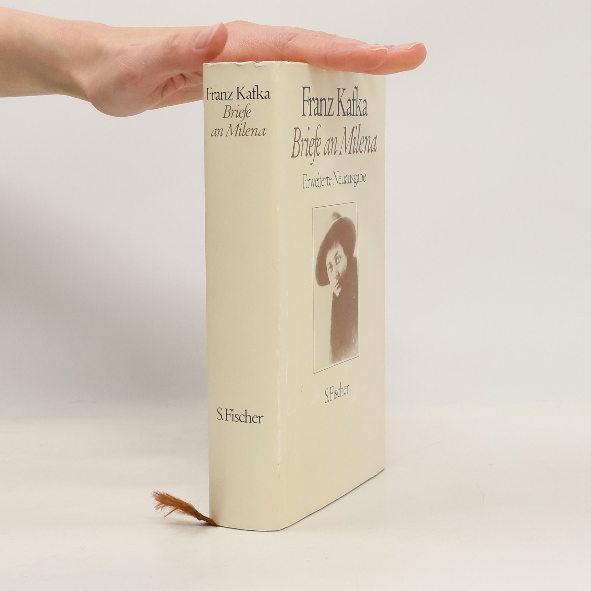 Franz Kafka Briefe an Milena