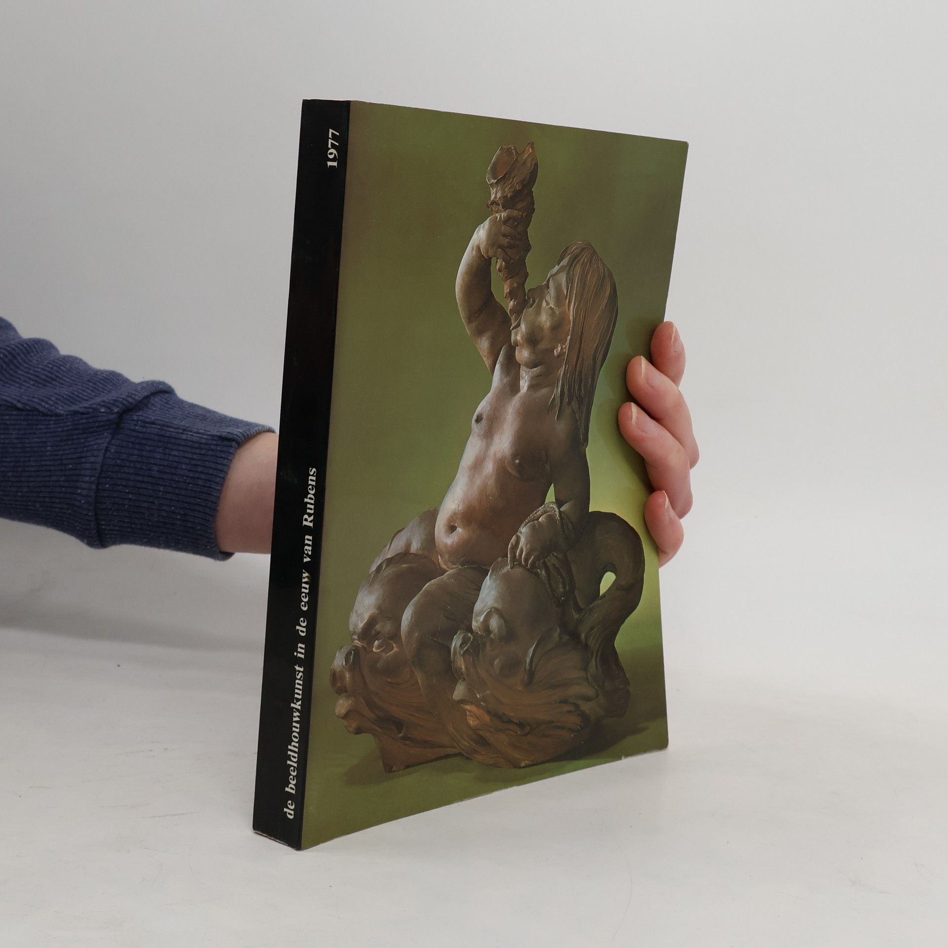 Autorenkollektiv De beeldhouwkunst in de eeuw van Rubens in de Zuidelijke Nederlanden en het prinsbisdom Luik