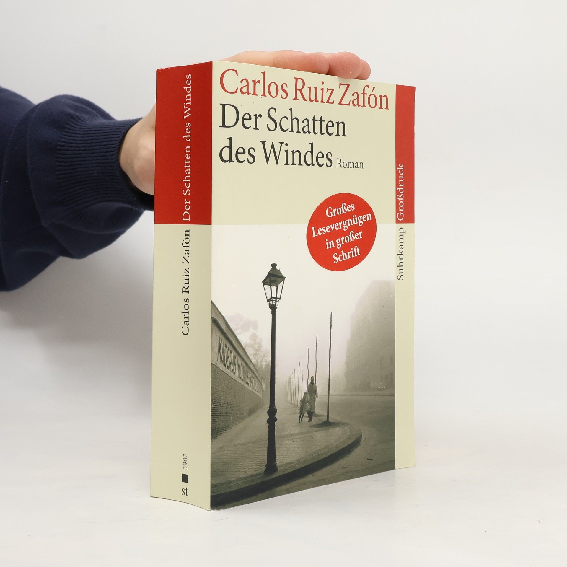 Carlos Ruiz Zafón Der Schatten des Windes