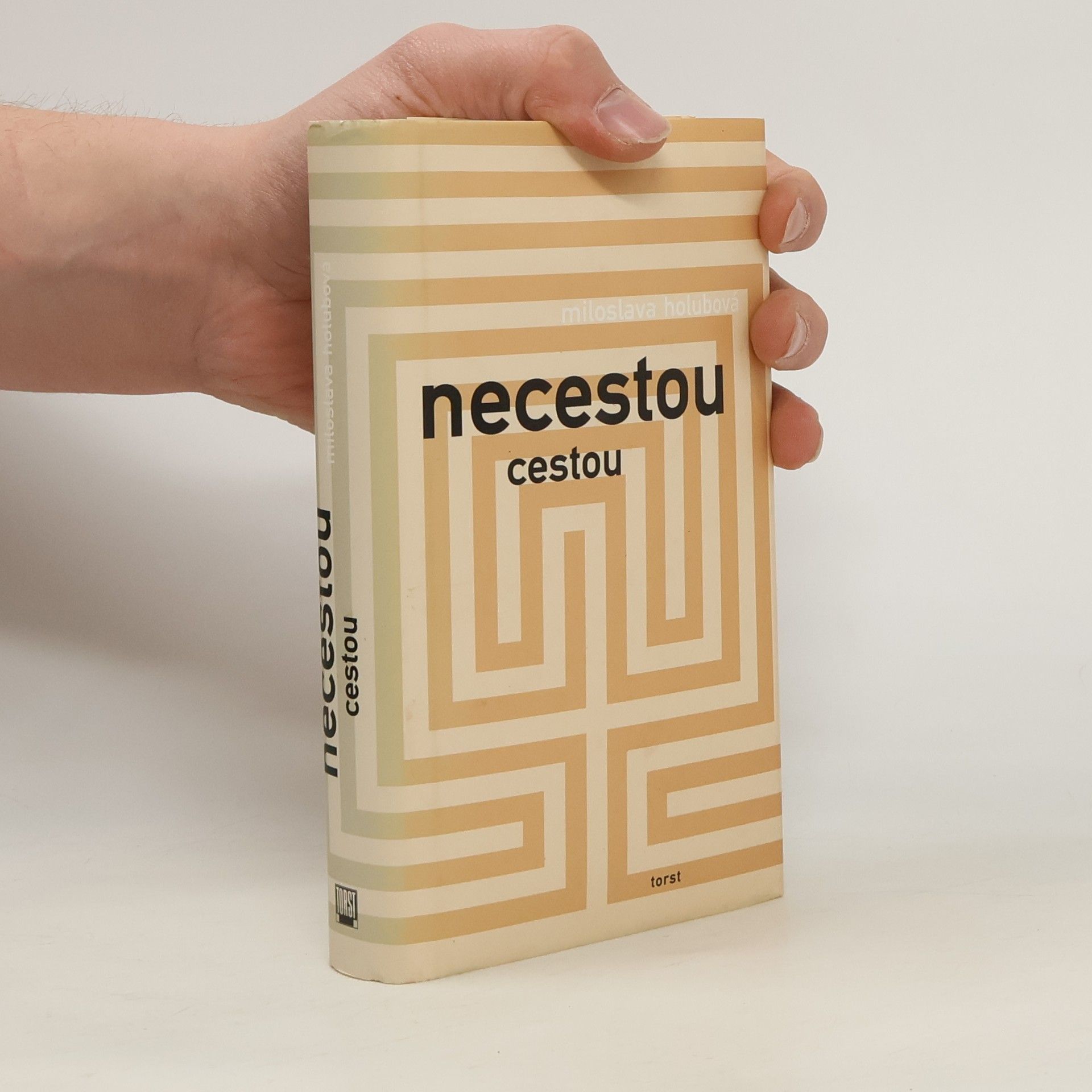 Miloslava Holubová Necestou cestou