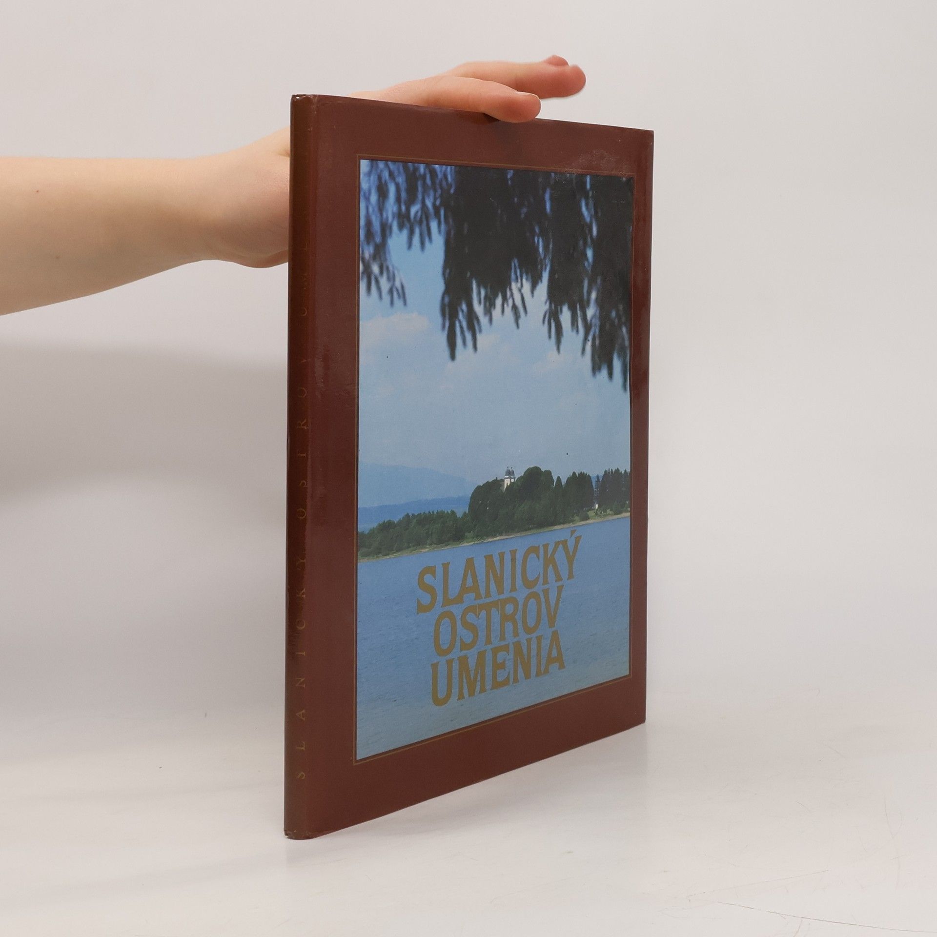 Eva Ľuptáková Slanický ostrov umenia