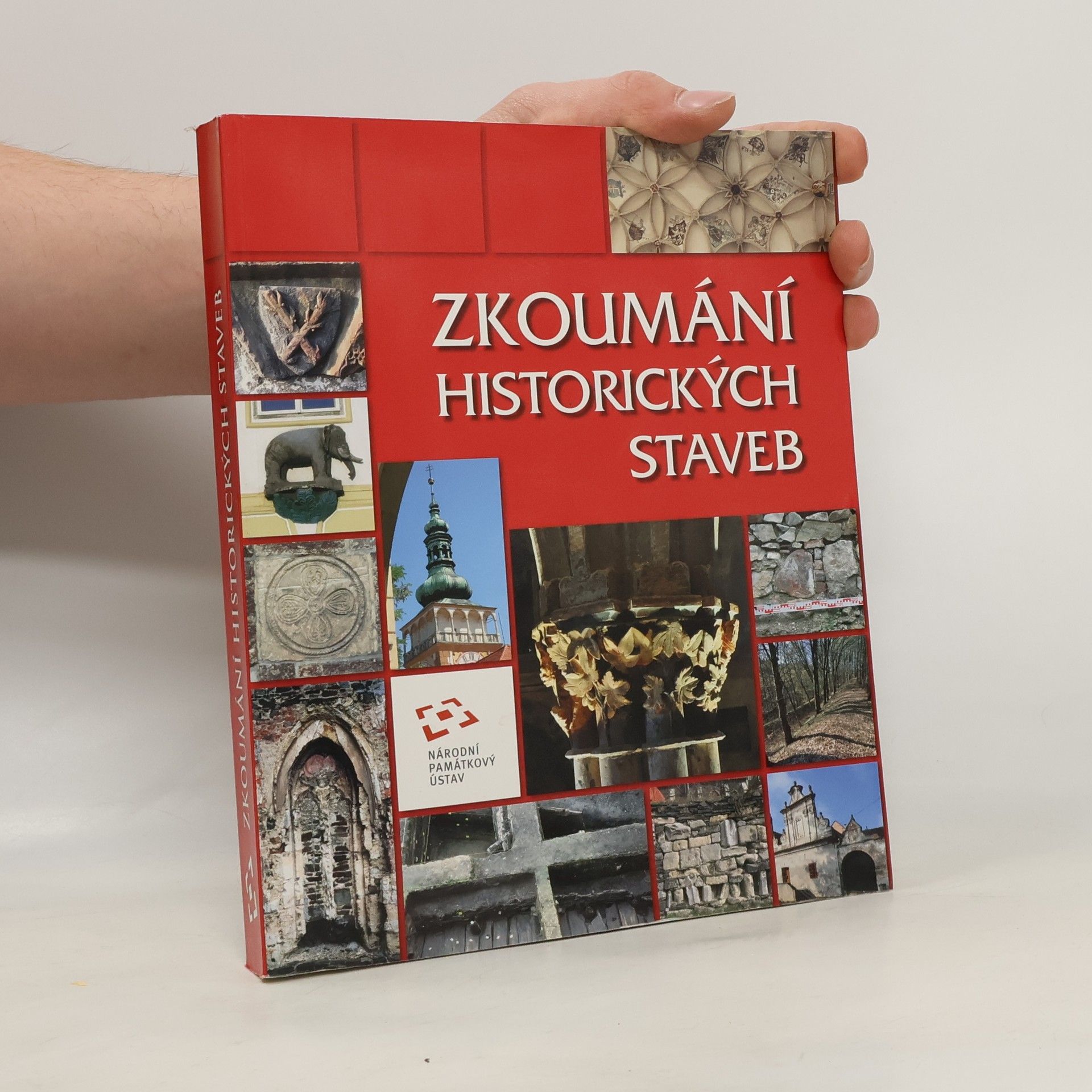 Vladislav Razím Zkoumání historických staveb