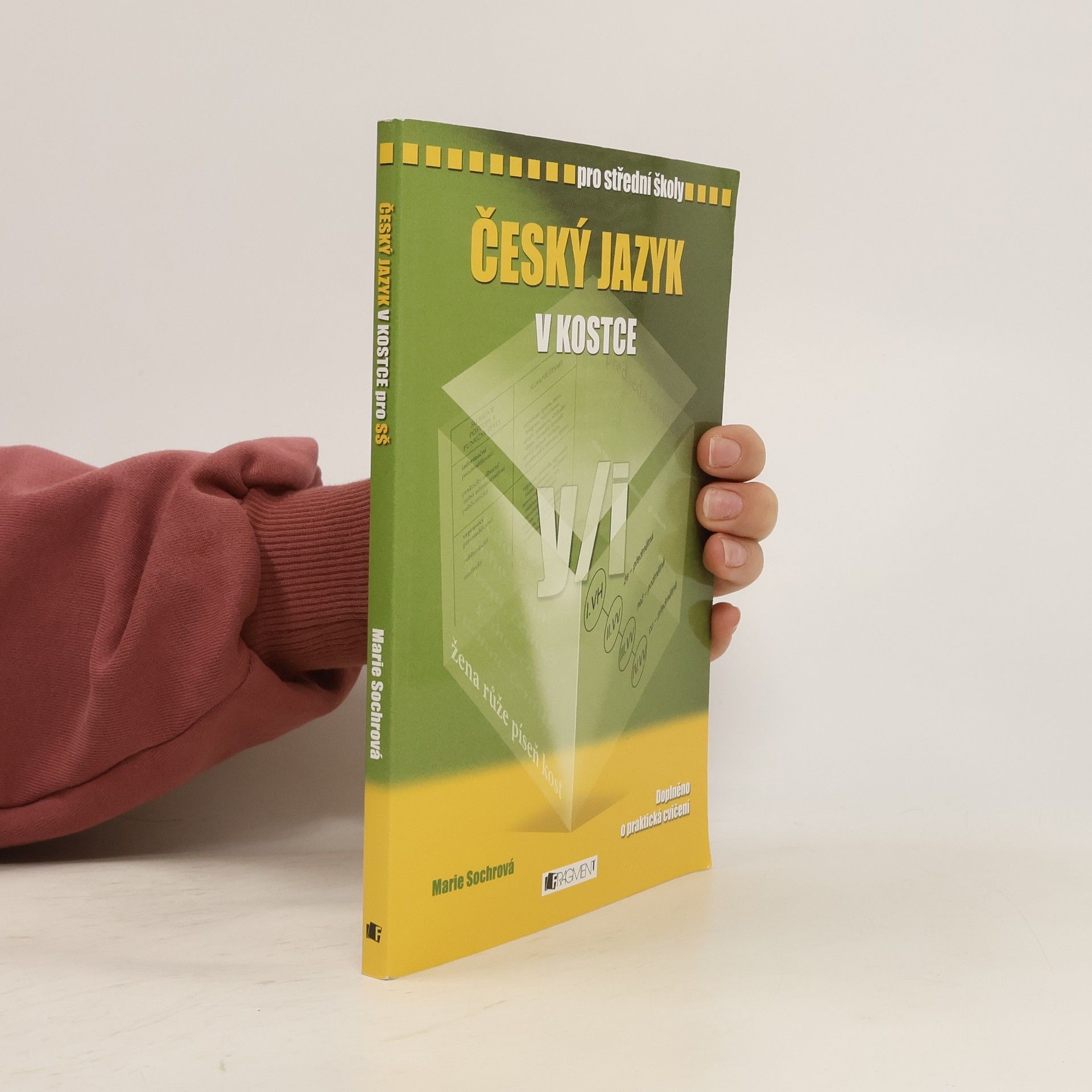 Marie Sochrová Český jazyk v kostce : pro střední školy