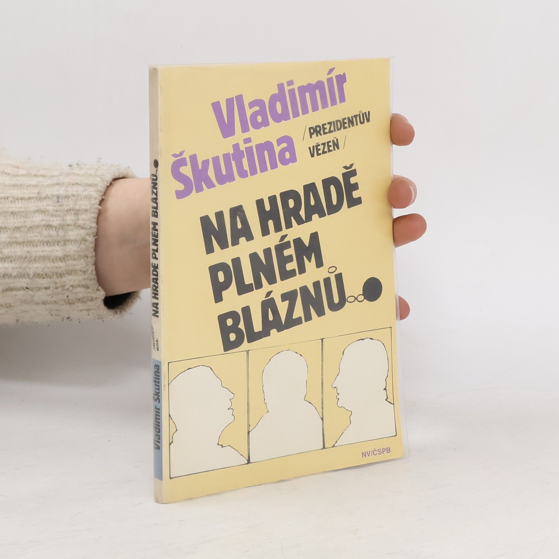 Vladimír Škutina Na hradě plném bláznů