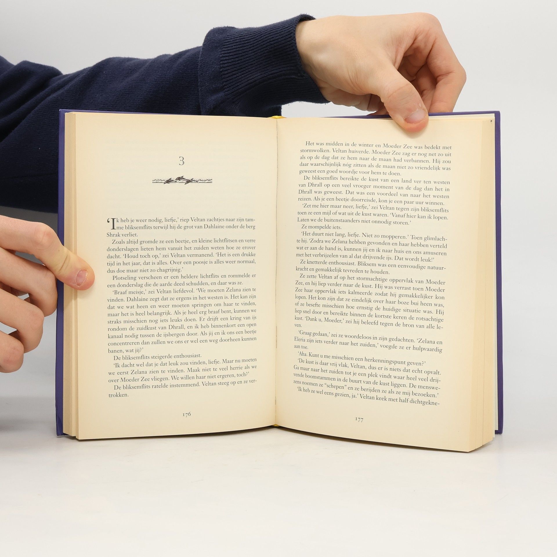 David Eddings De Dromers