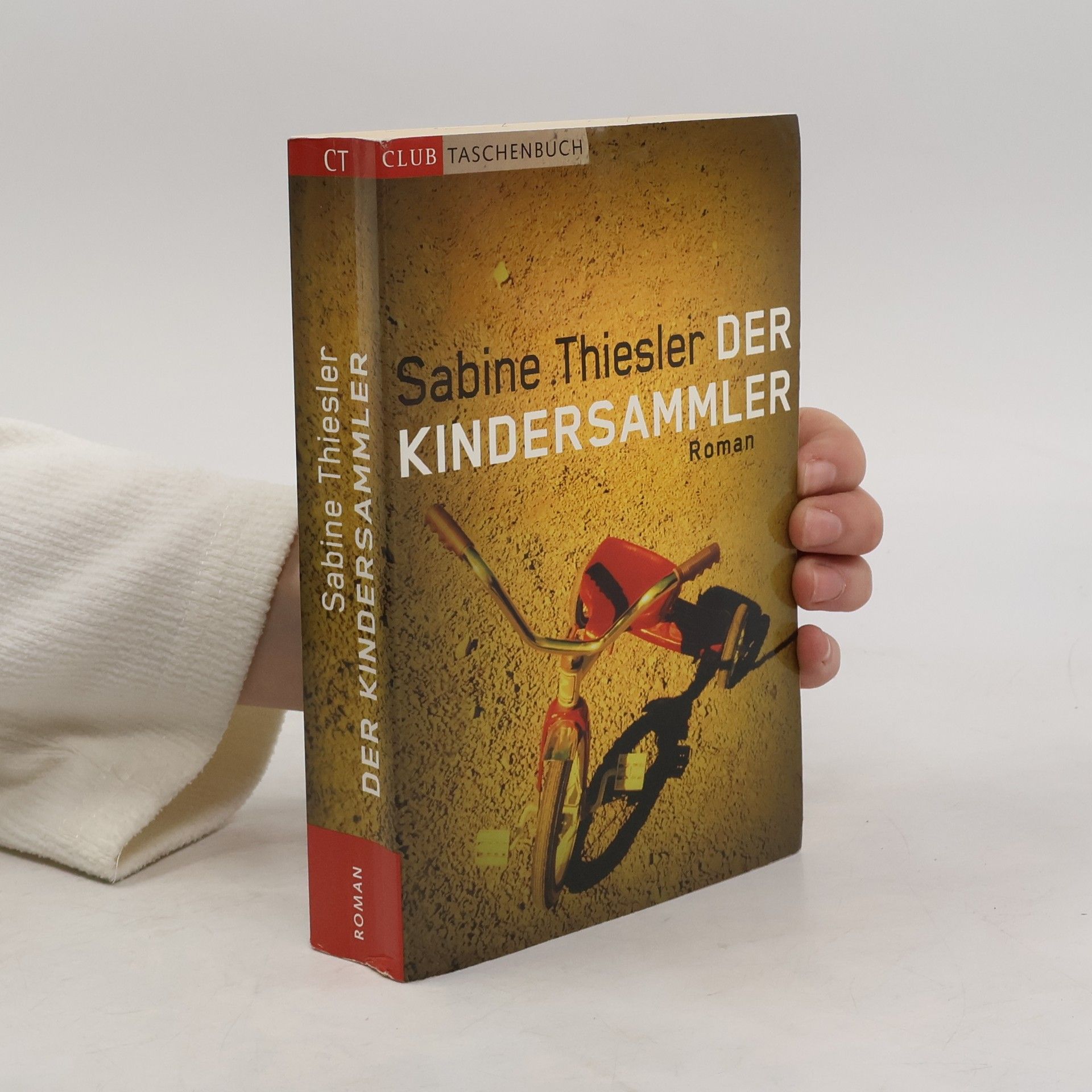 Sabine Thiesler Der Kindersammler