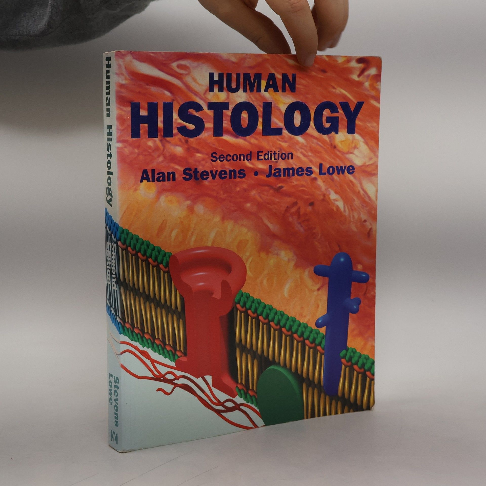 Alan Stevens Human Histology - Second Edition