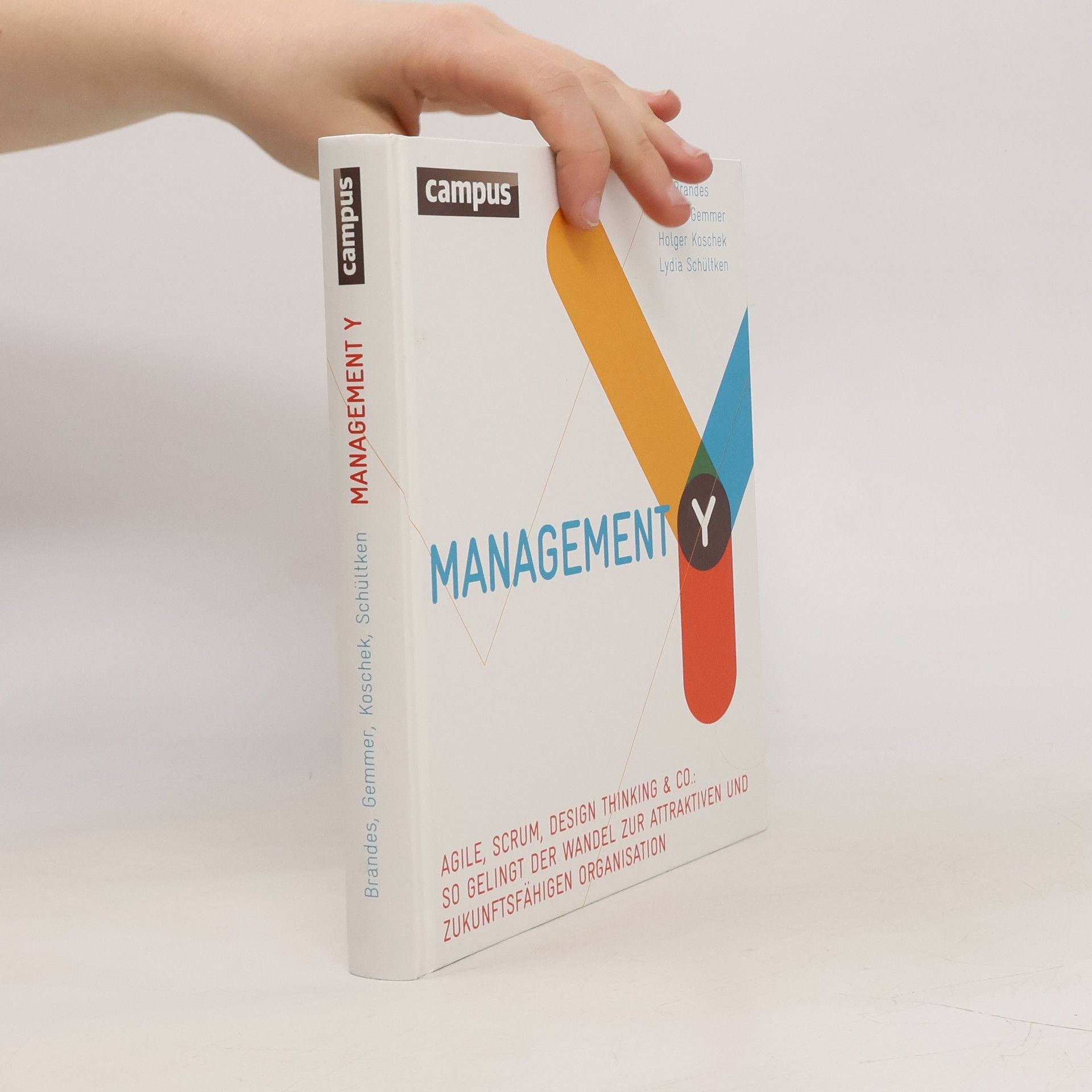 Ulf Brandes Management Y