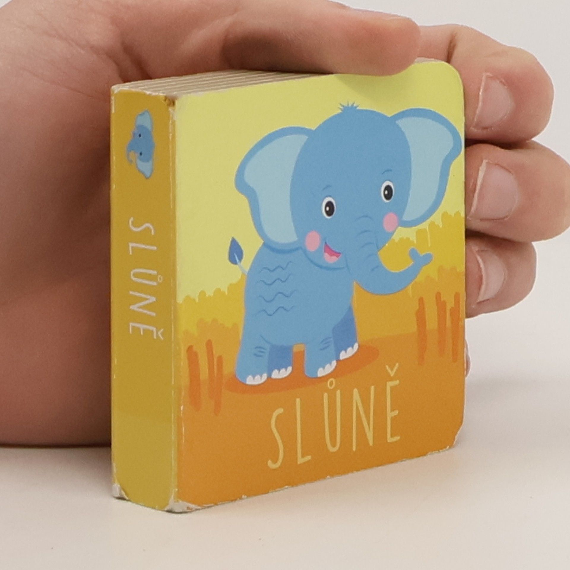 Kathy Broderick Slůně