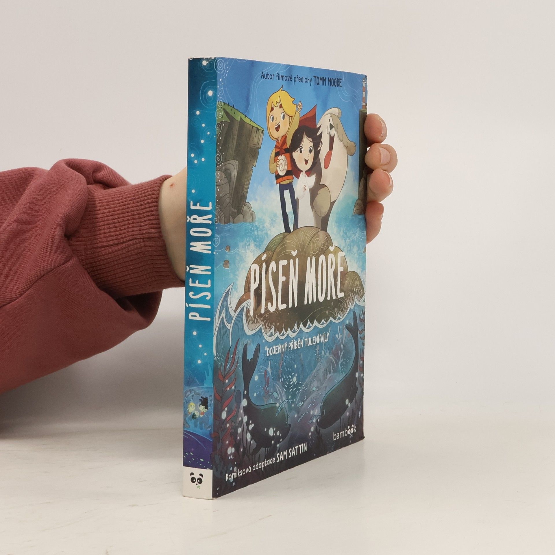 Lucia Lukáčová Píseň moře