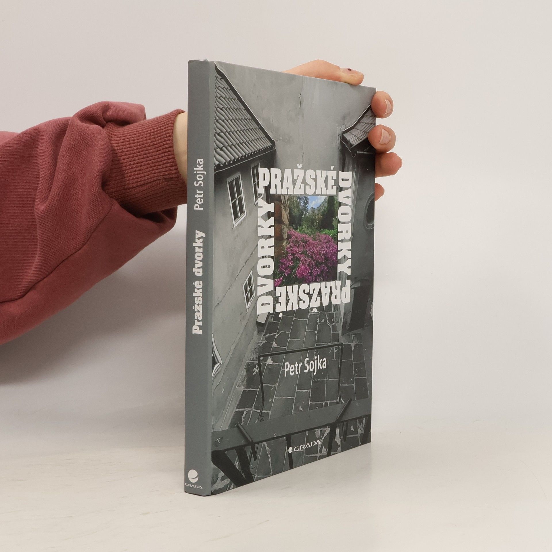 Petr Sojka Pražské dvorky