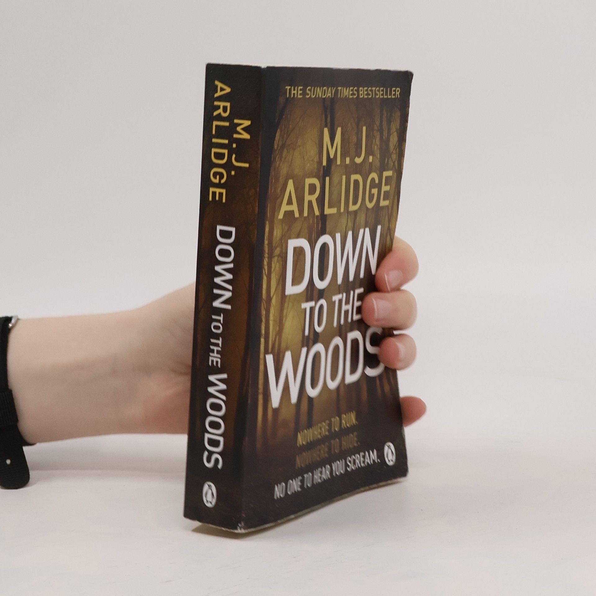 M. J. Arlidge Down to the Woods