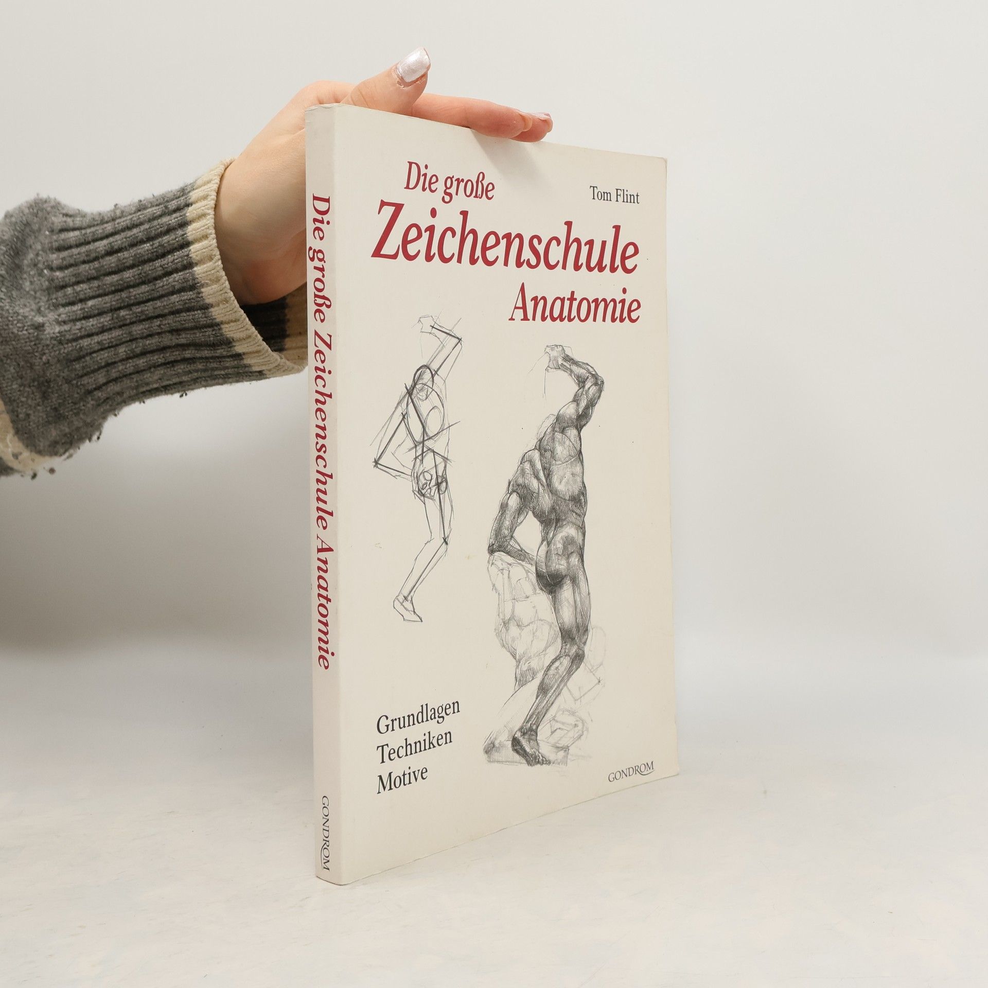 Tom Flint Die große Zeichenschule