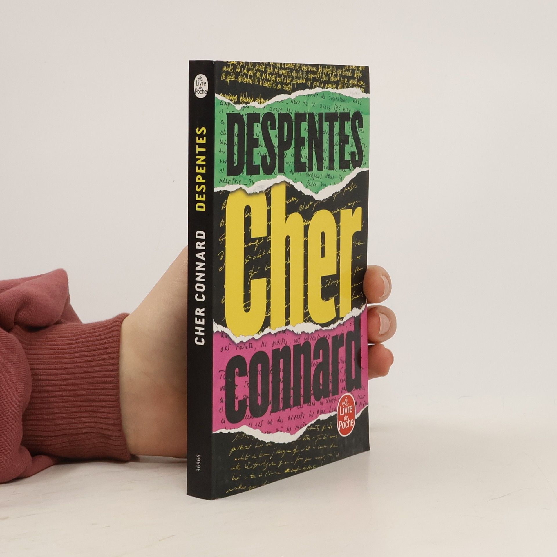 Virginie Despentes Cher connard