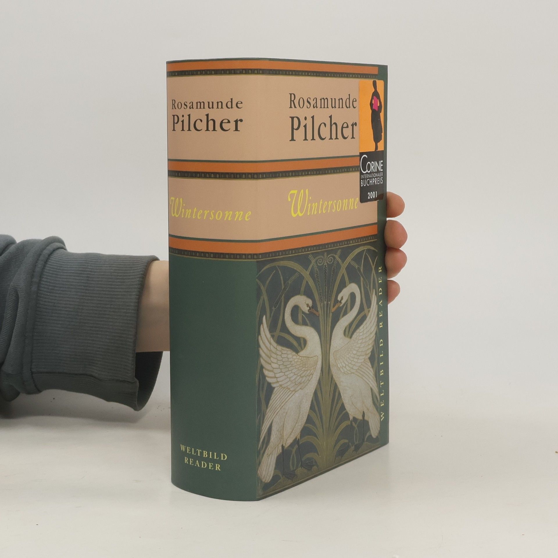 Rosamunde Pilcher Wintersonne