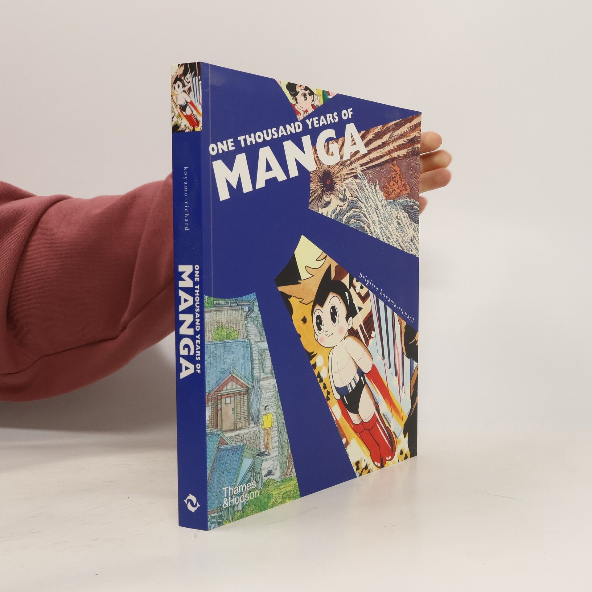 Brigitte Koyama-Richard One Thousand Years of Manga