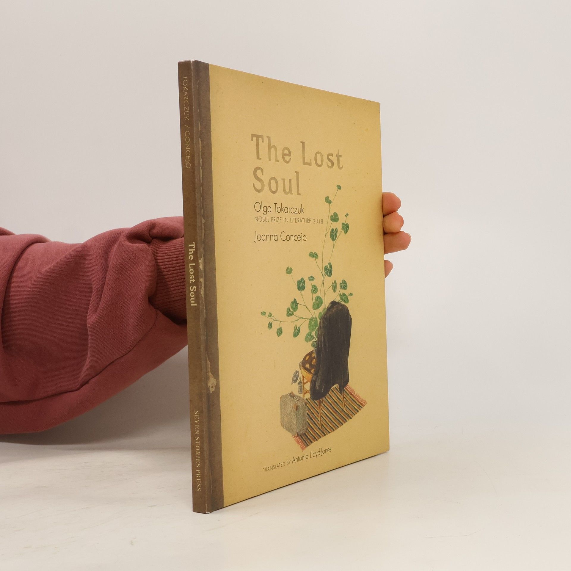 Olga Tokarczuková The Lost Soul