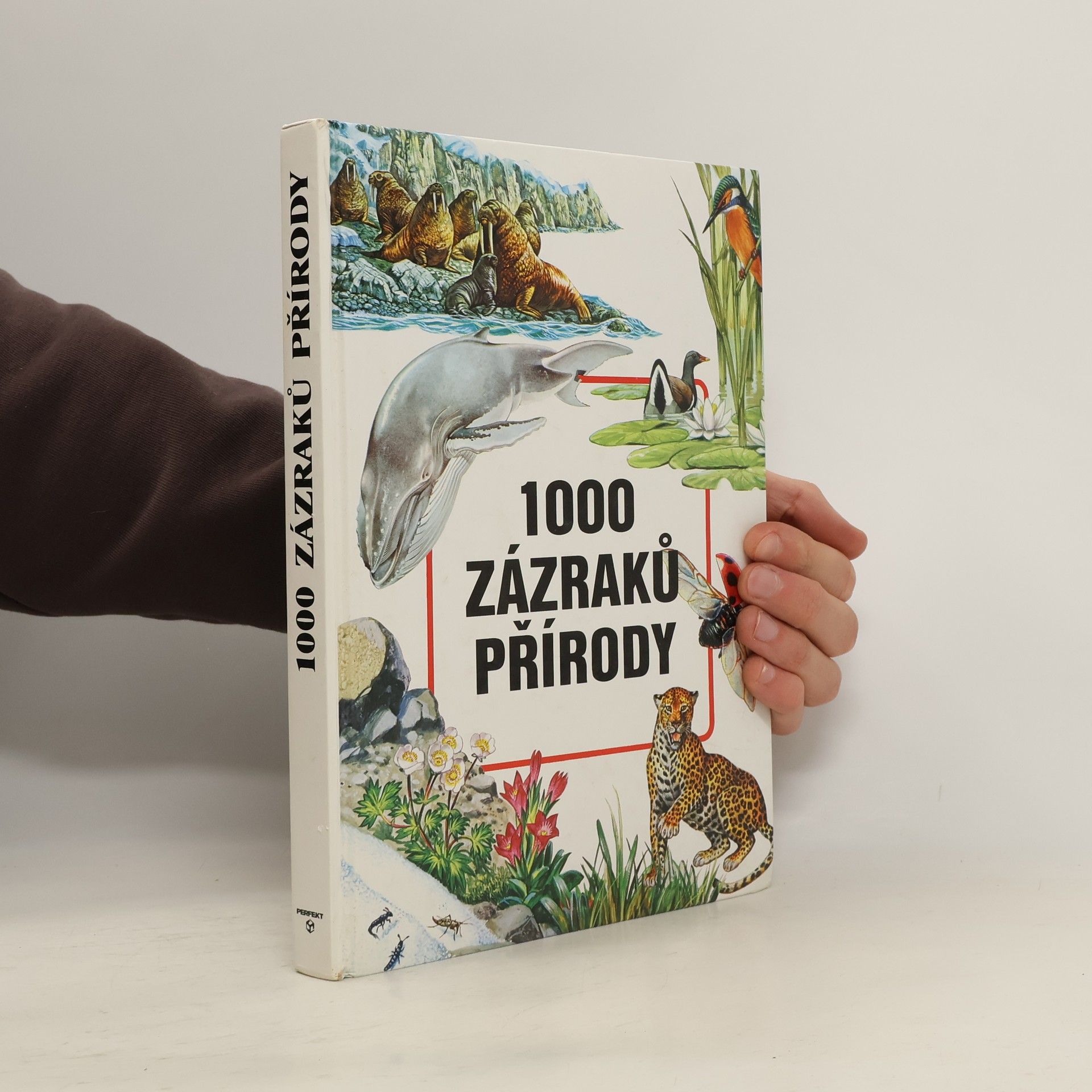 Evžen Kůs 1000 zázraků přírody