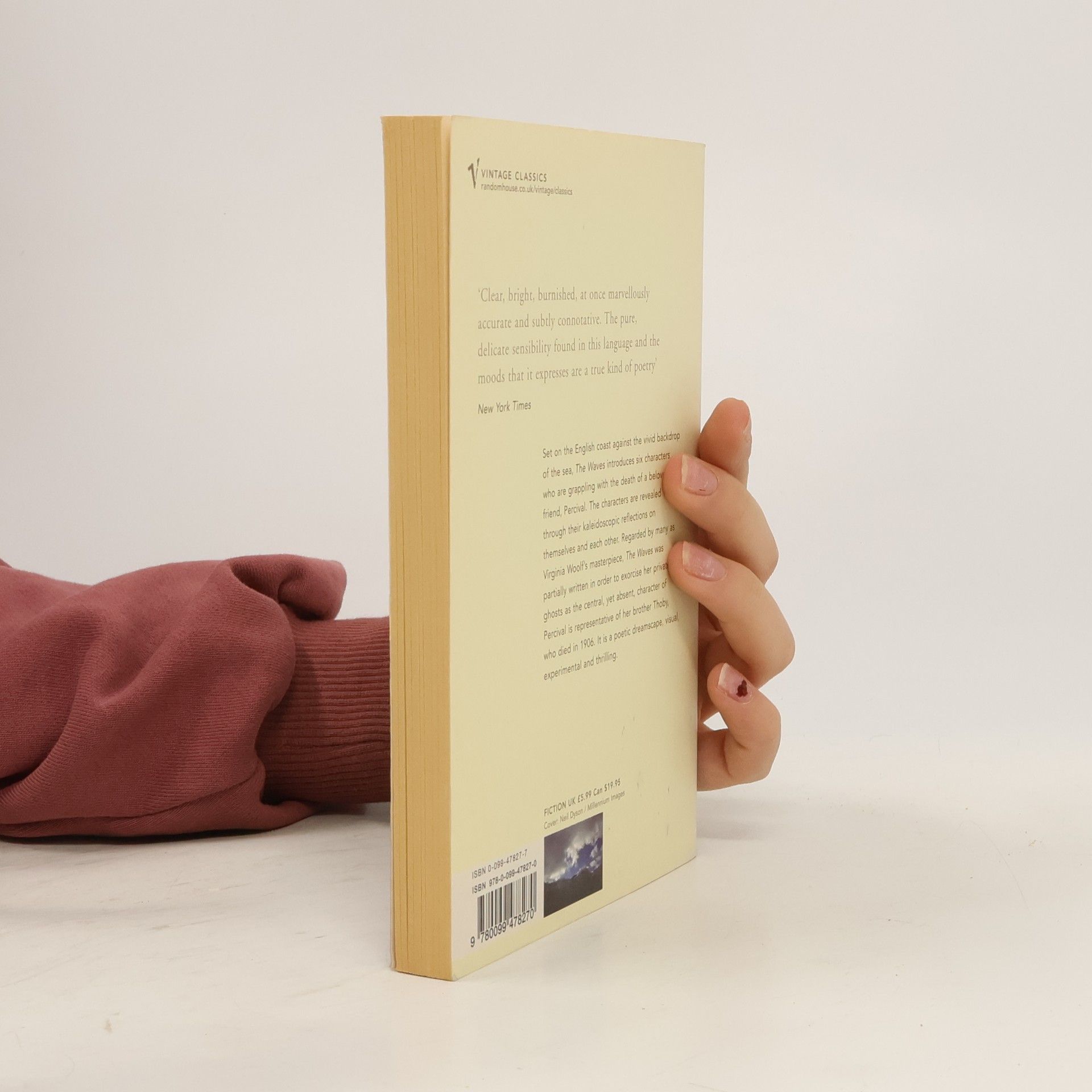 Virginia Woolf The waves