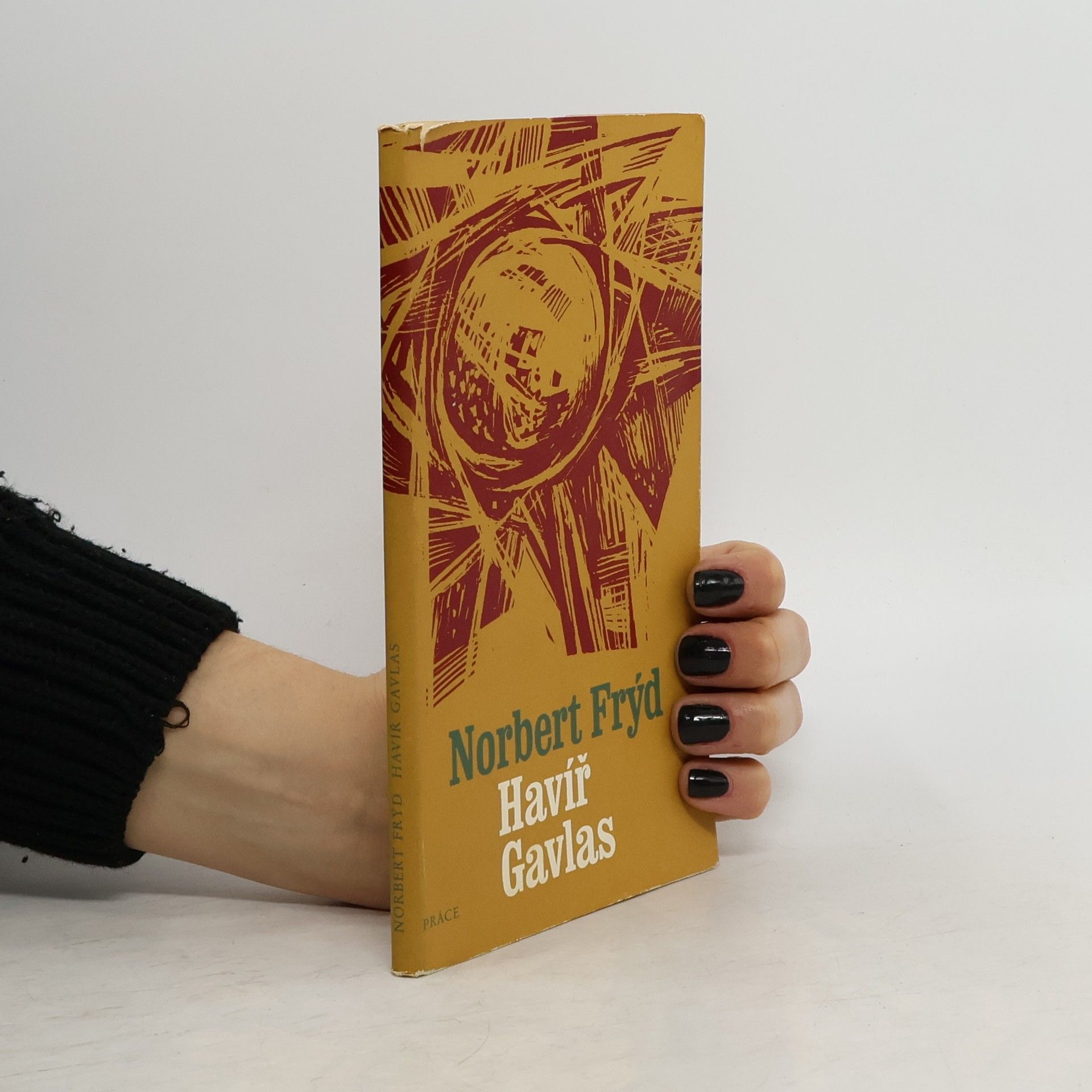 Norbert Frýd Havíř Gavlas a Doslov po dvaceti letech