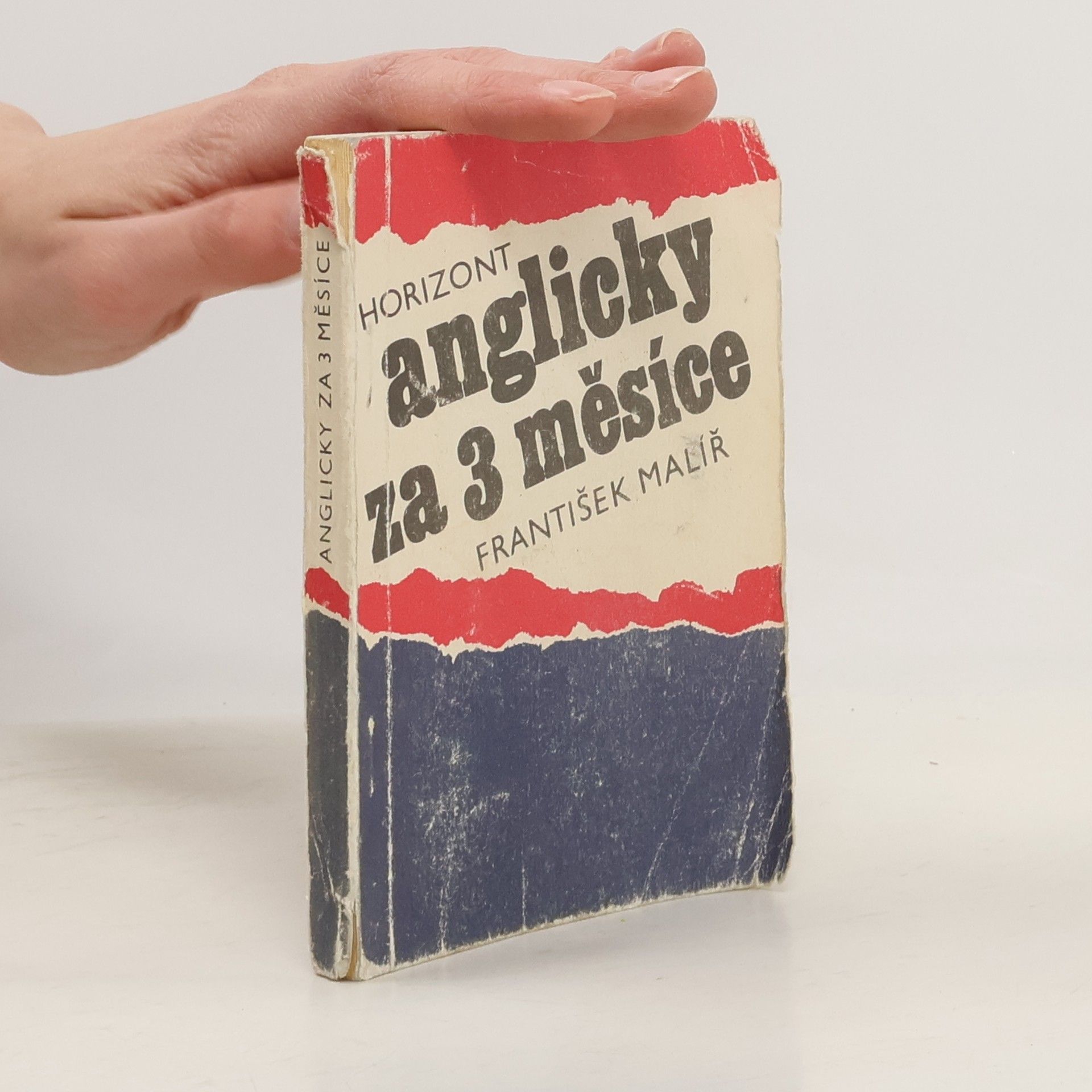 František Malíř Anglicky za 3 měsíce