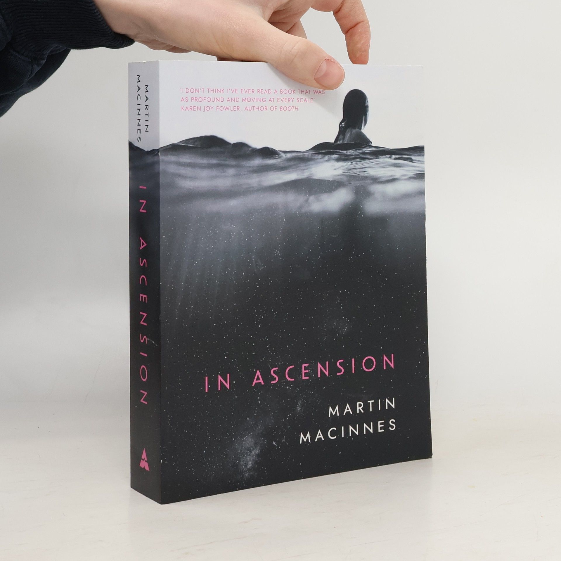 Martin MacInnes In Ascension