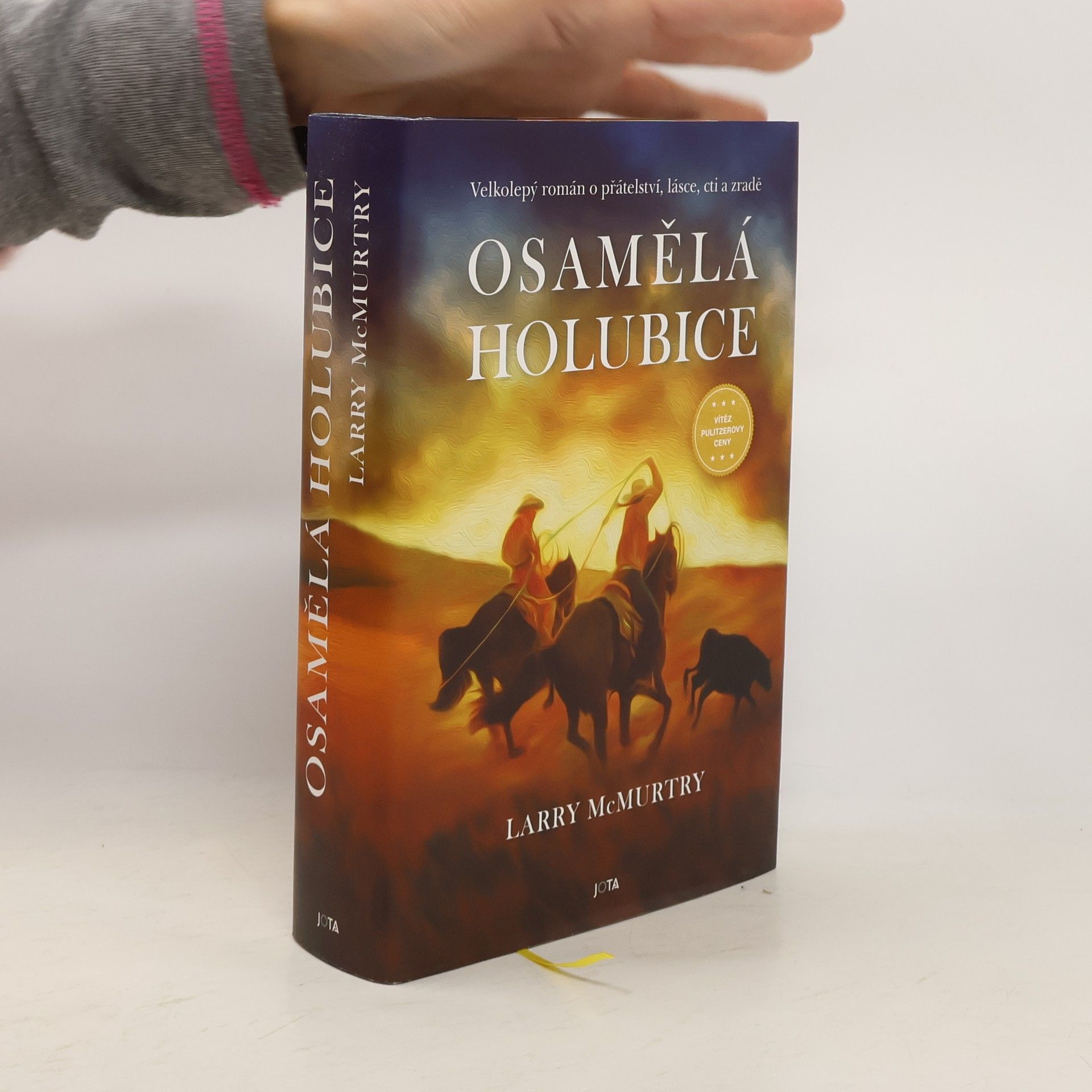 Larry McMurtry Osamělá holubice