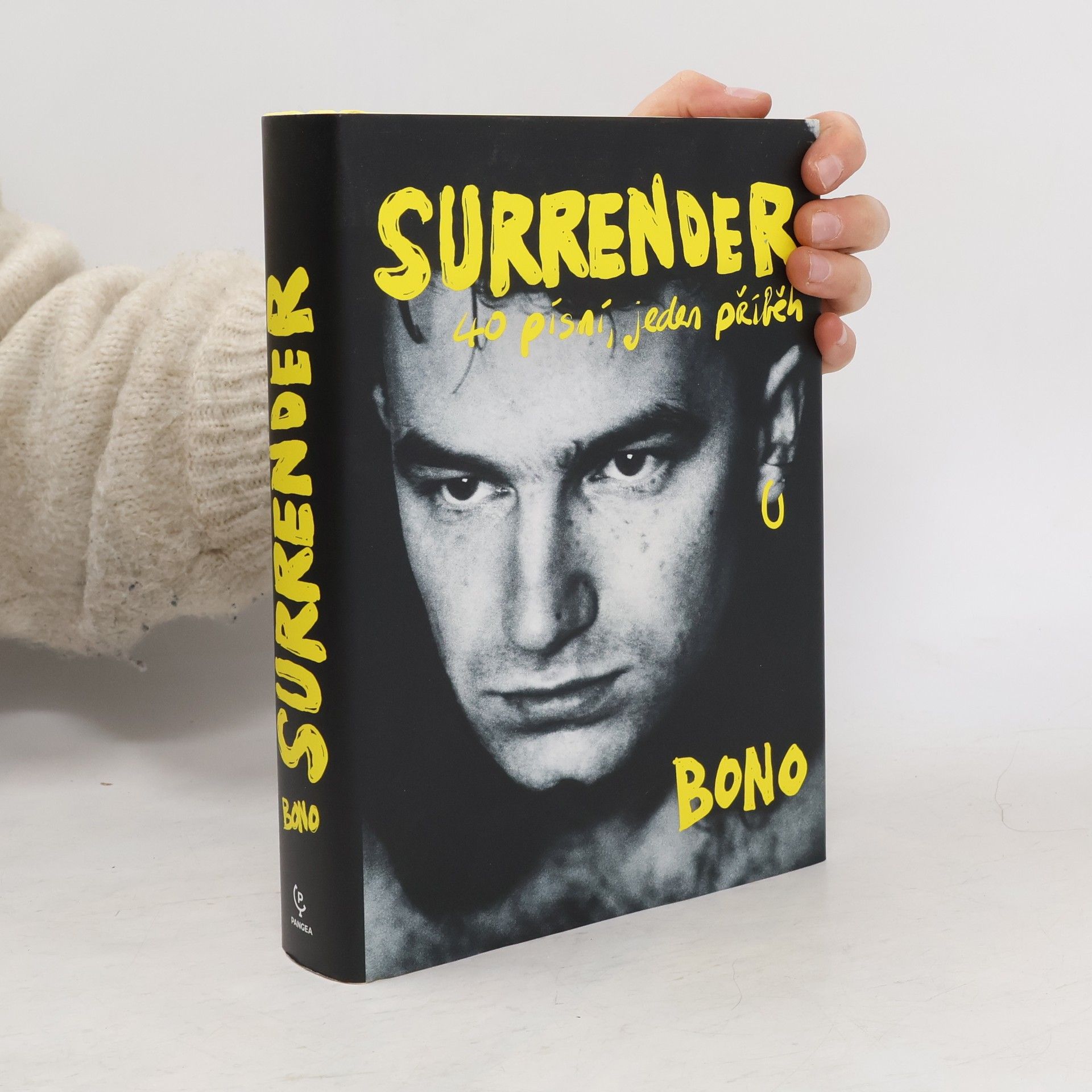 Bono Surrender : 40 písní, jeden příběh