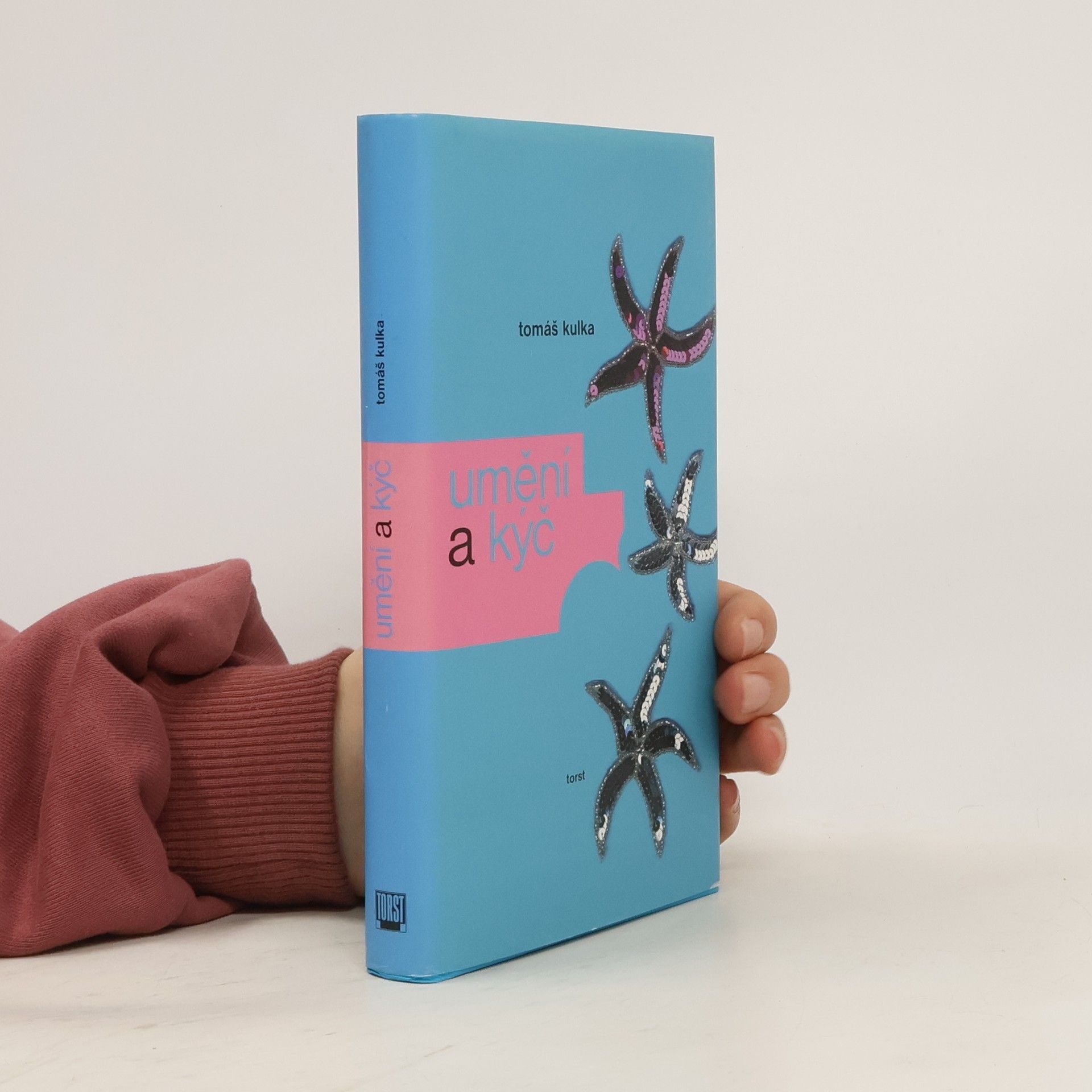 Tomáš Kulka Umění a kýč