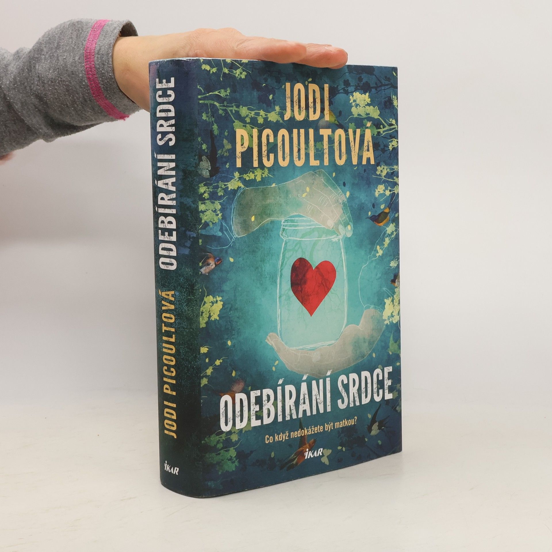 Jodi Picoult Odebírání srdce