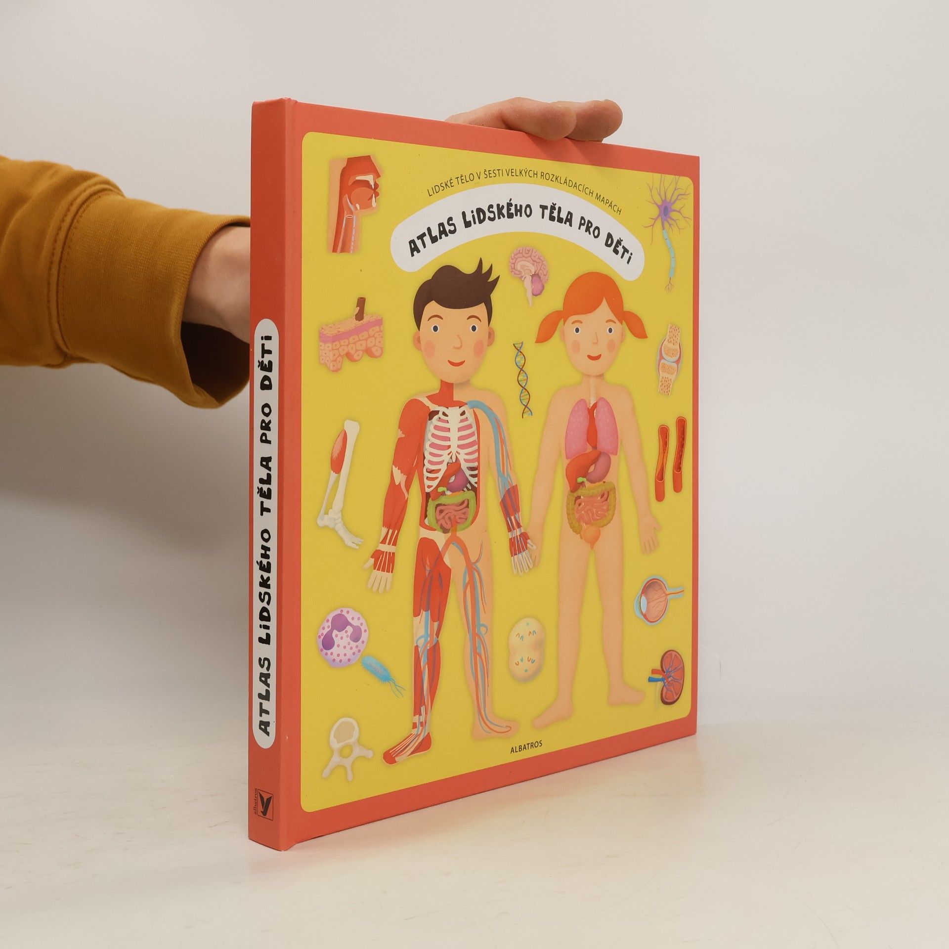 Oldřich Růžička Atlas lidského těla pro děti