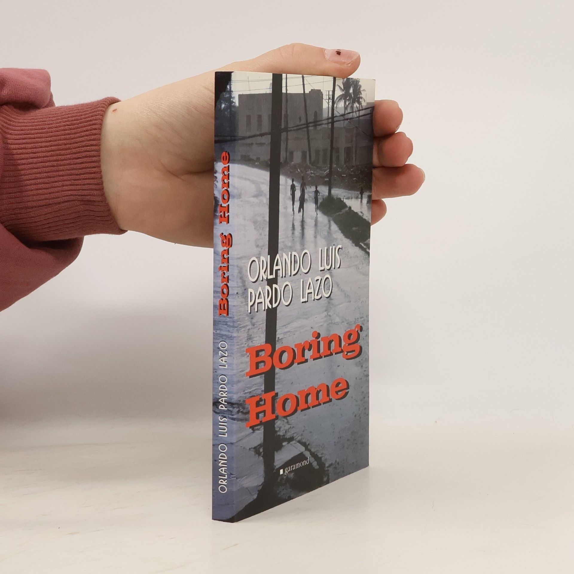 Orlando Louis Pardo Lazo Boring home