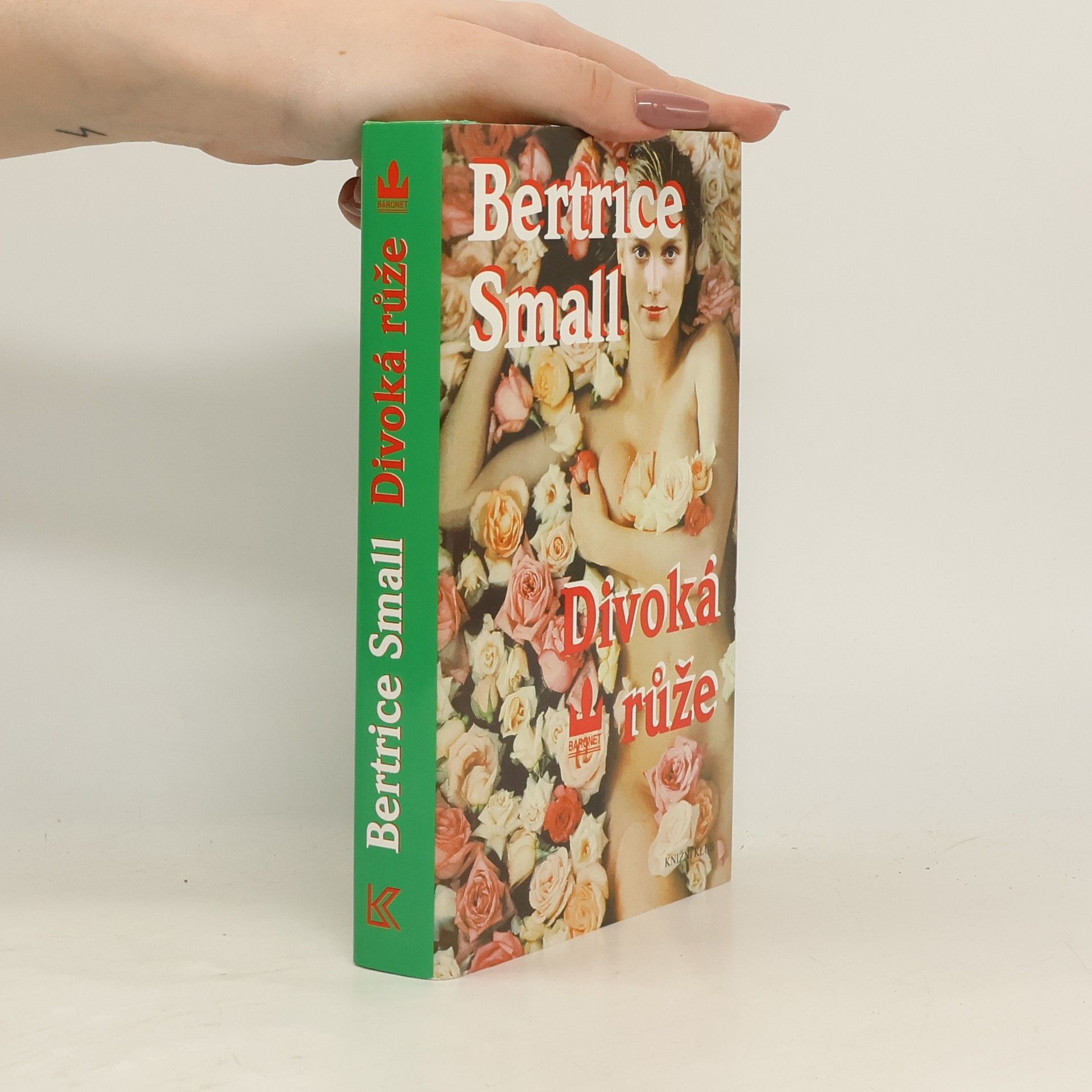 Bertrice Small Divoká růže